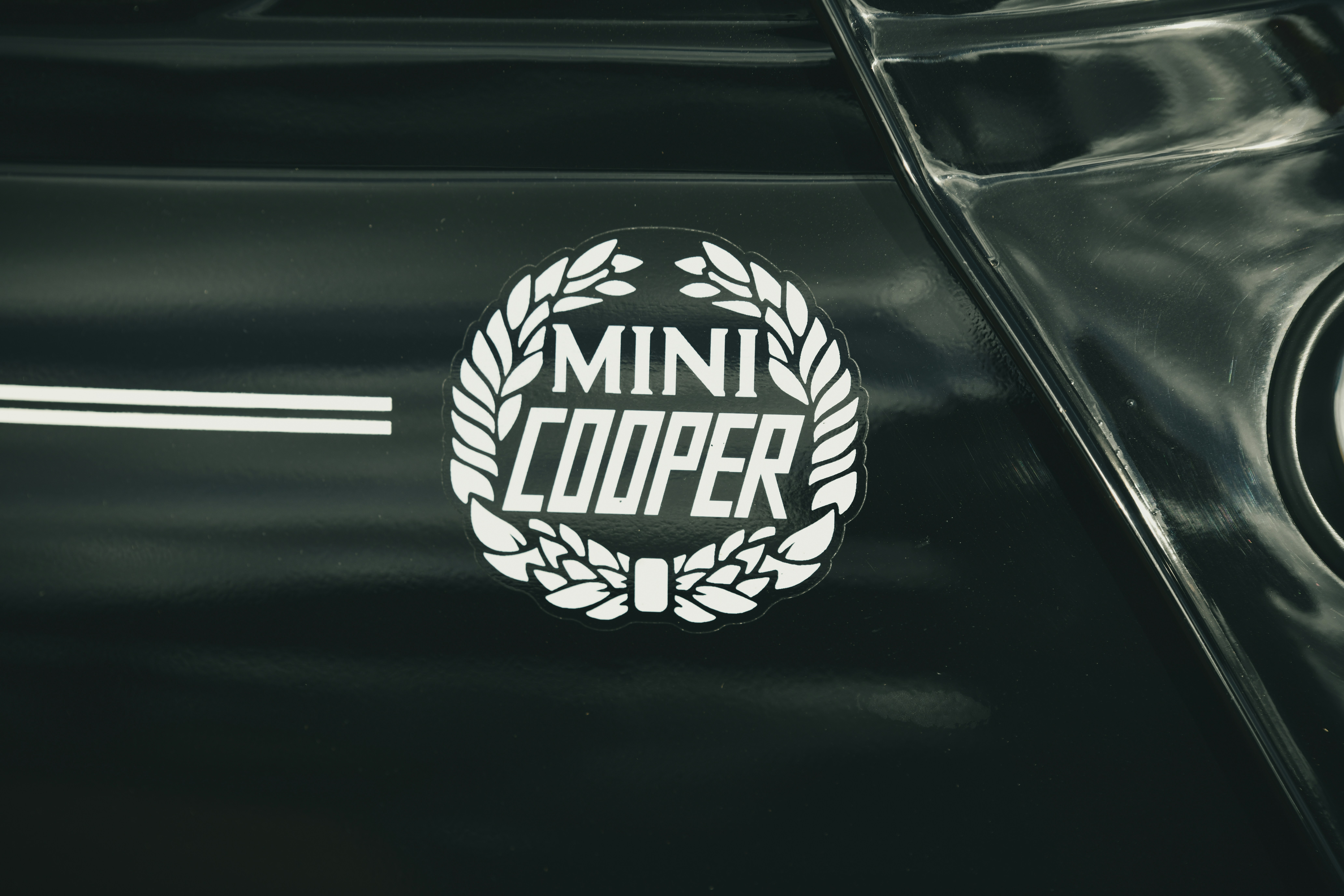 Close-up of a mini cooper emblem on a car.
