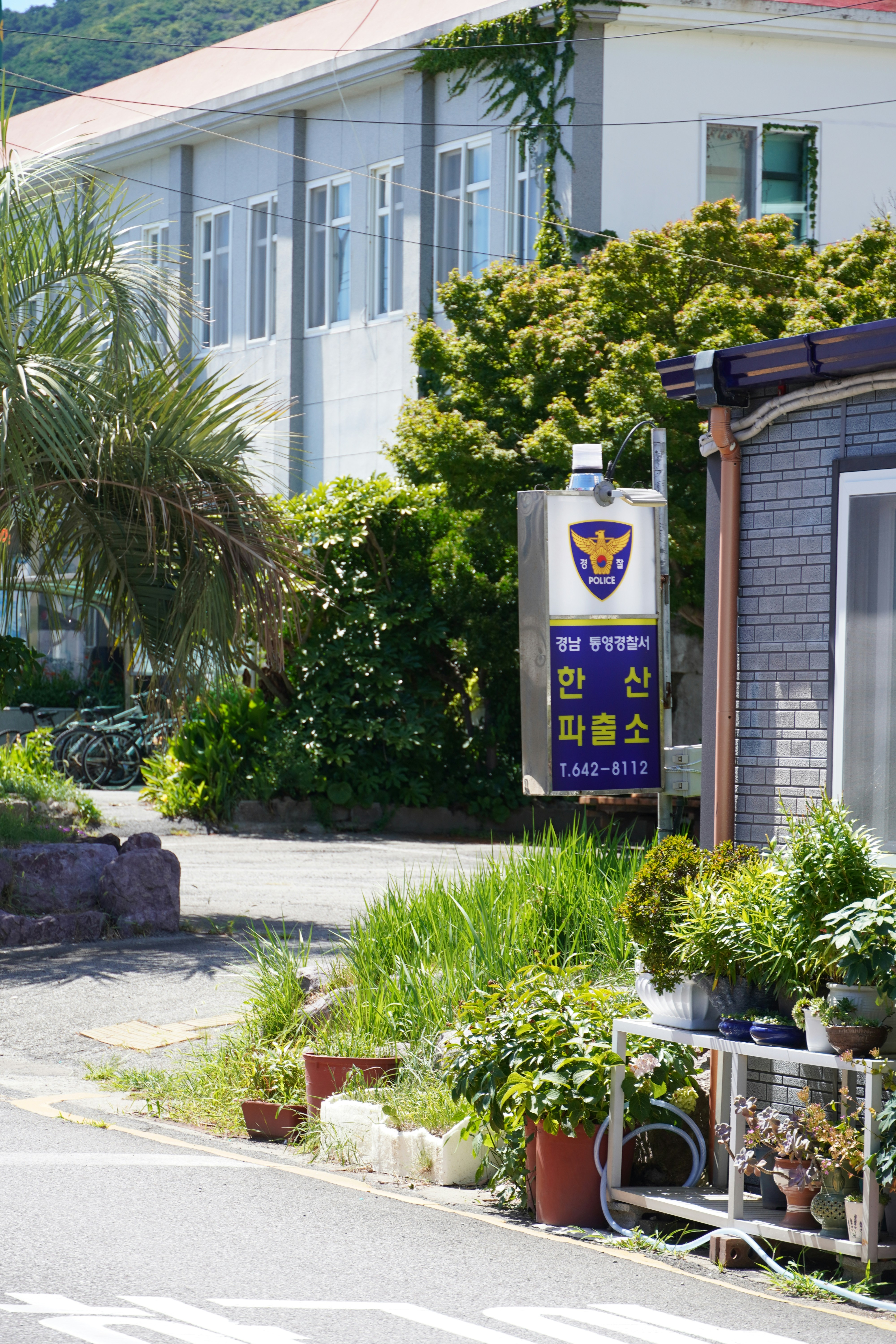 Police station sign surrounded by greenery and potted plants.