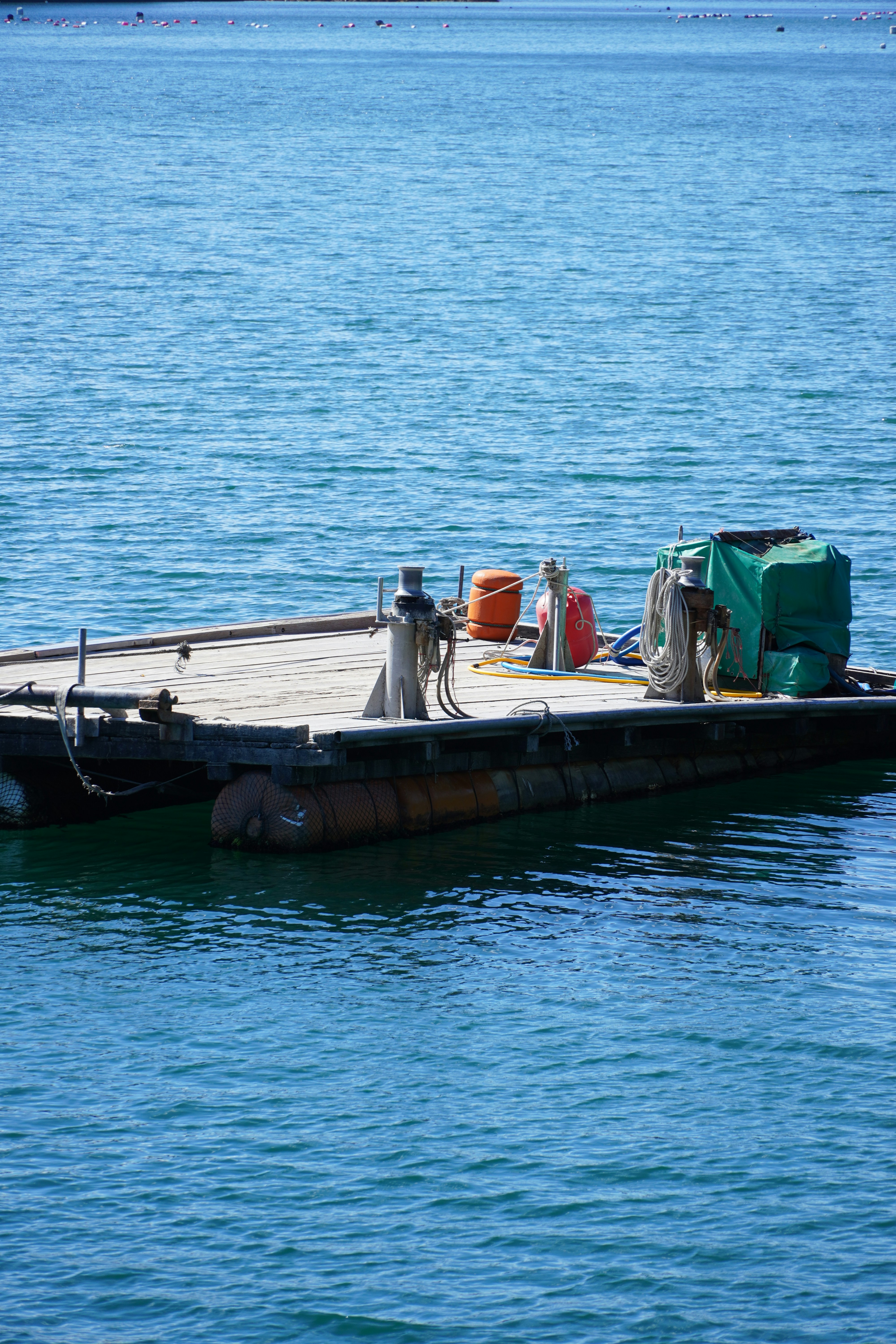 Photo by lifeinkorea