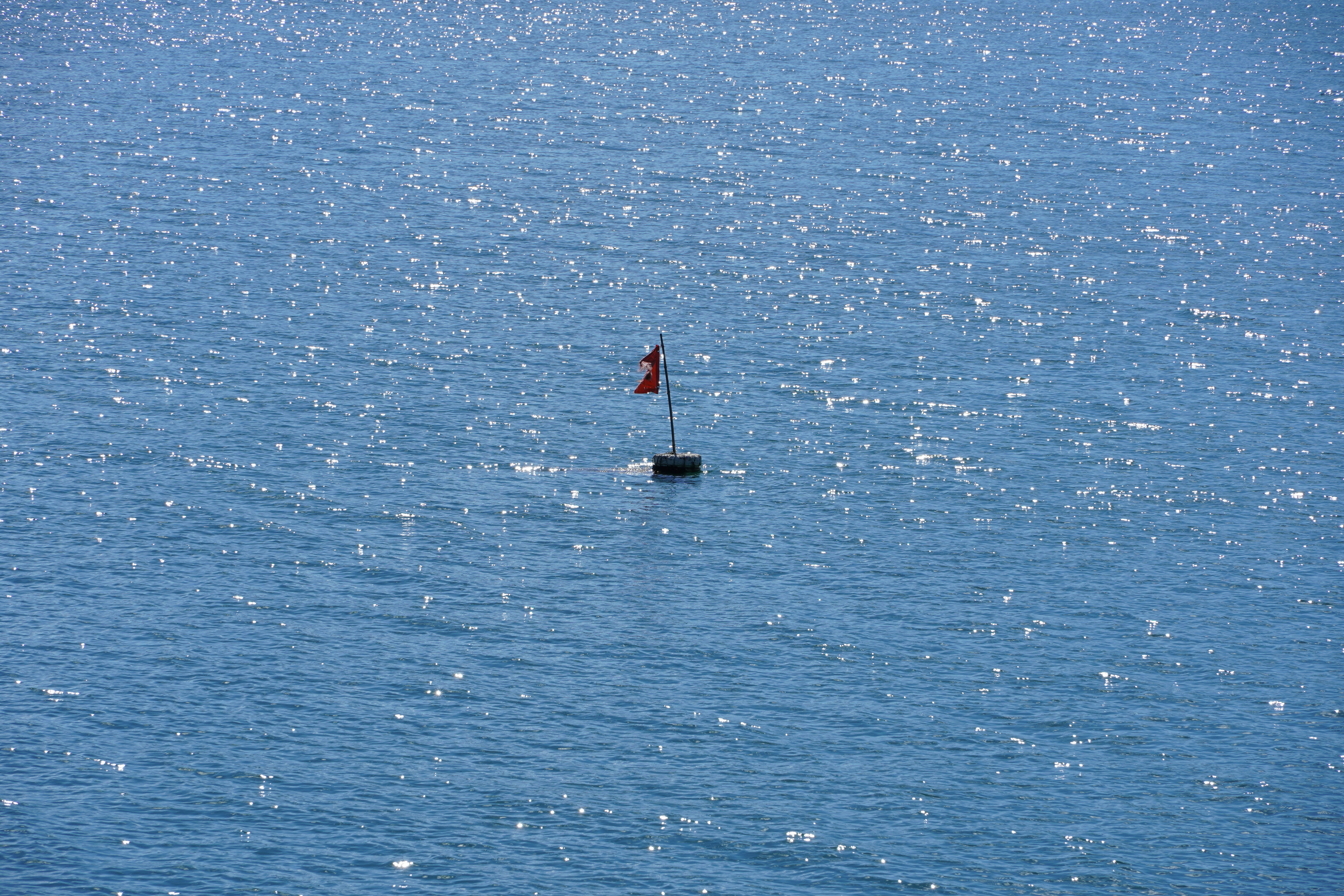 Photo by lifeinkorea