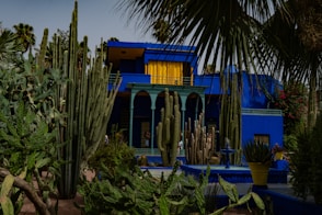 Vibrant blue building surrounded by cacti and palm trees.