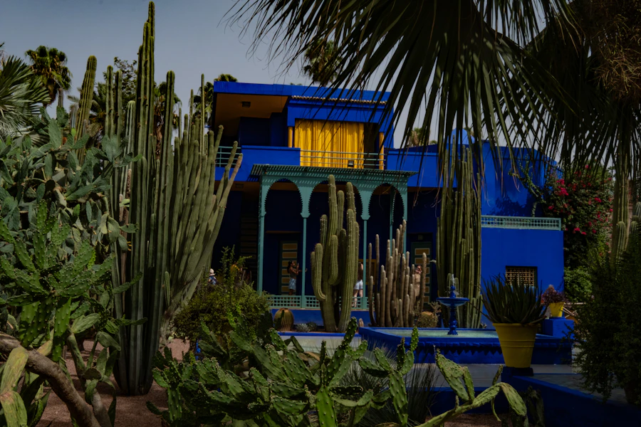Séance photo dans le Jardin Majorelle à Marrakech