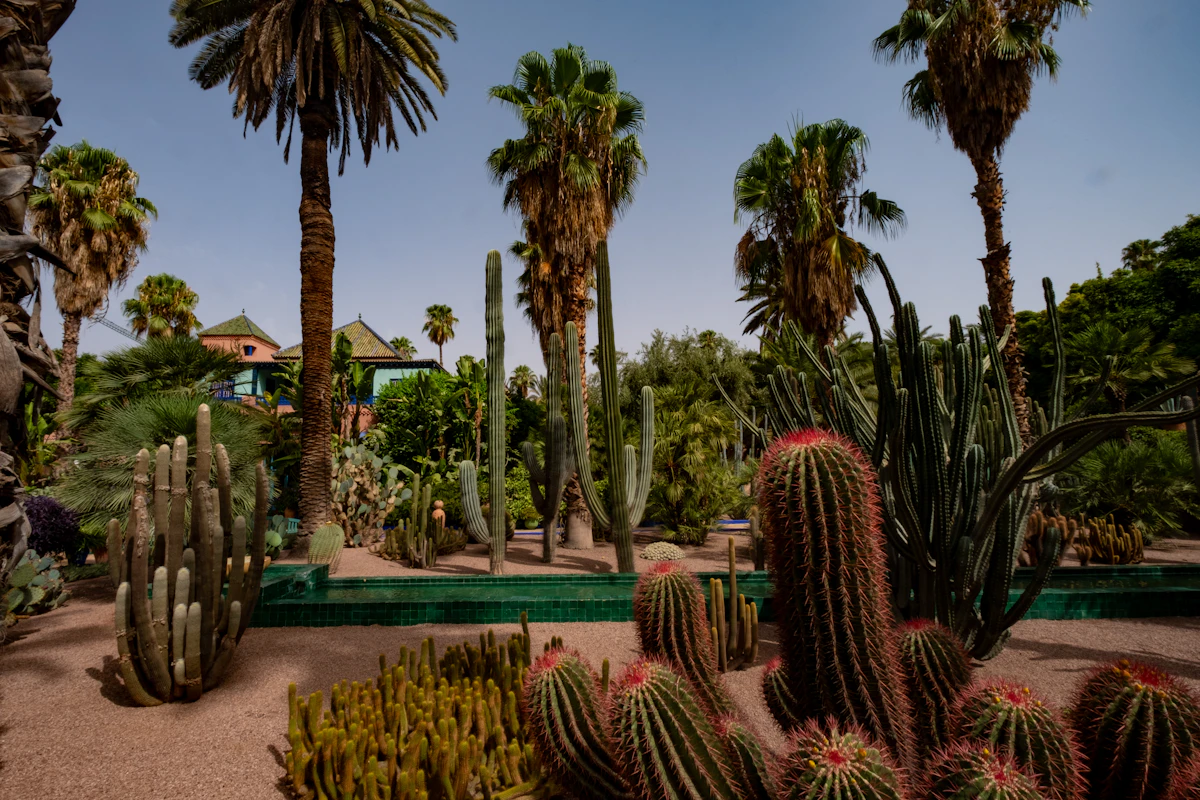 Palm trees and gardens typical of Palmitos Park, Gran Canaria