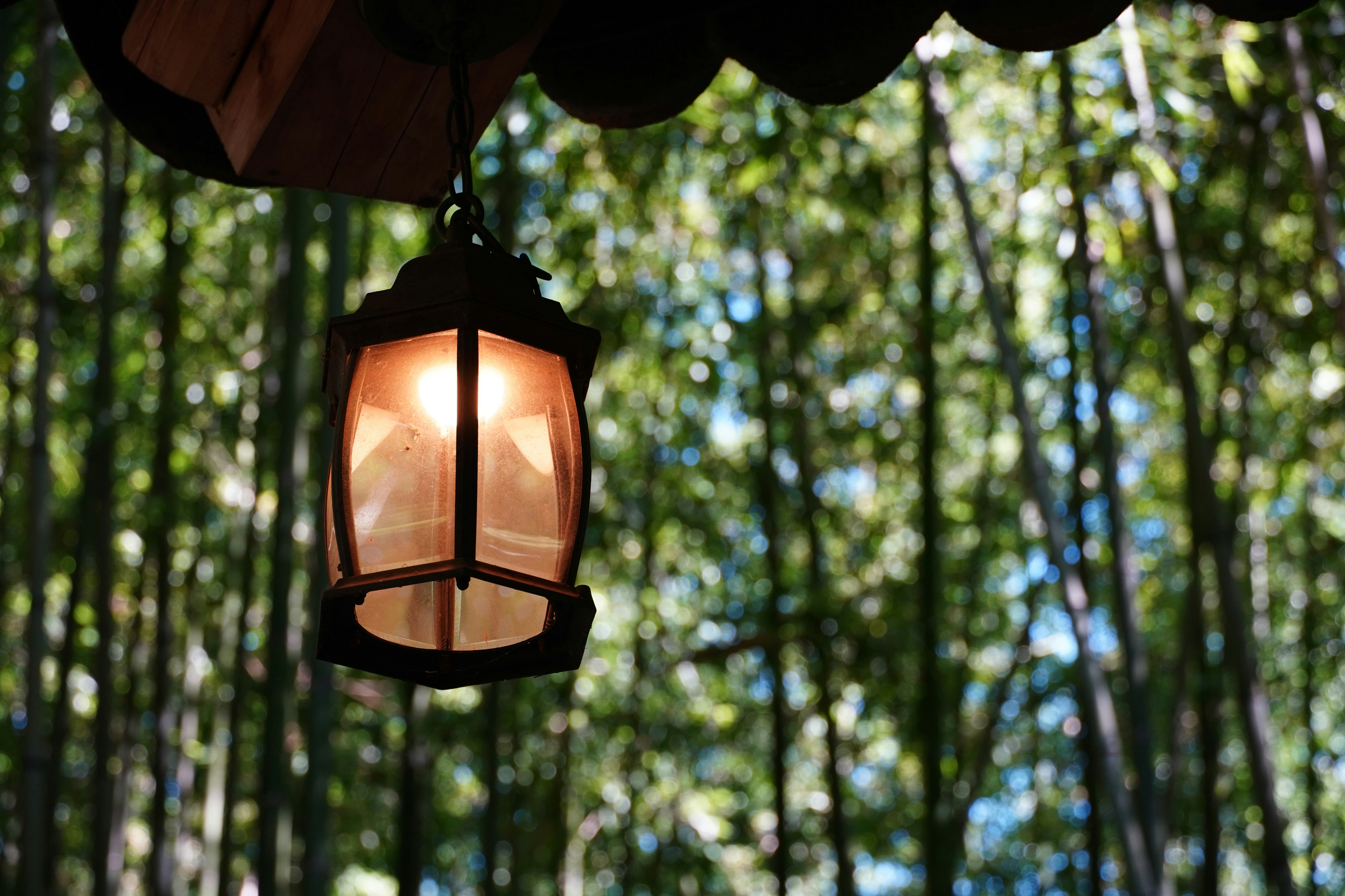 Photo by lifeinkorea