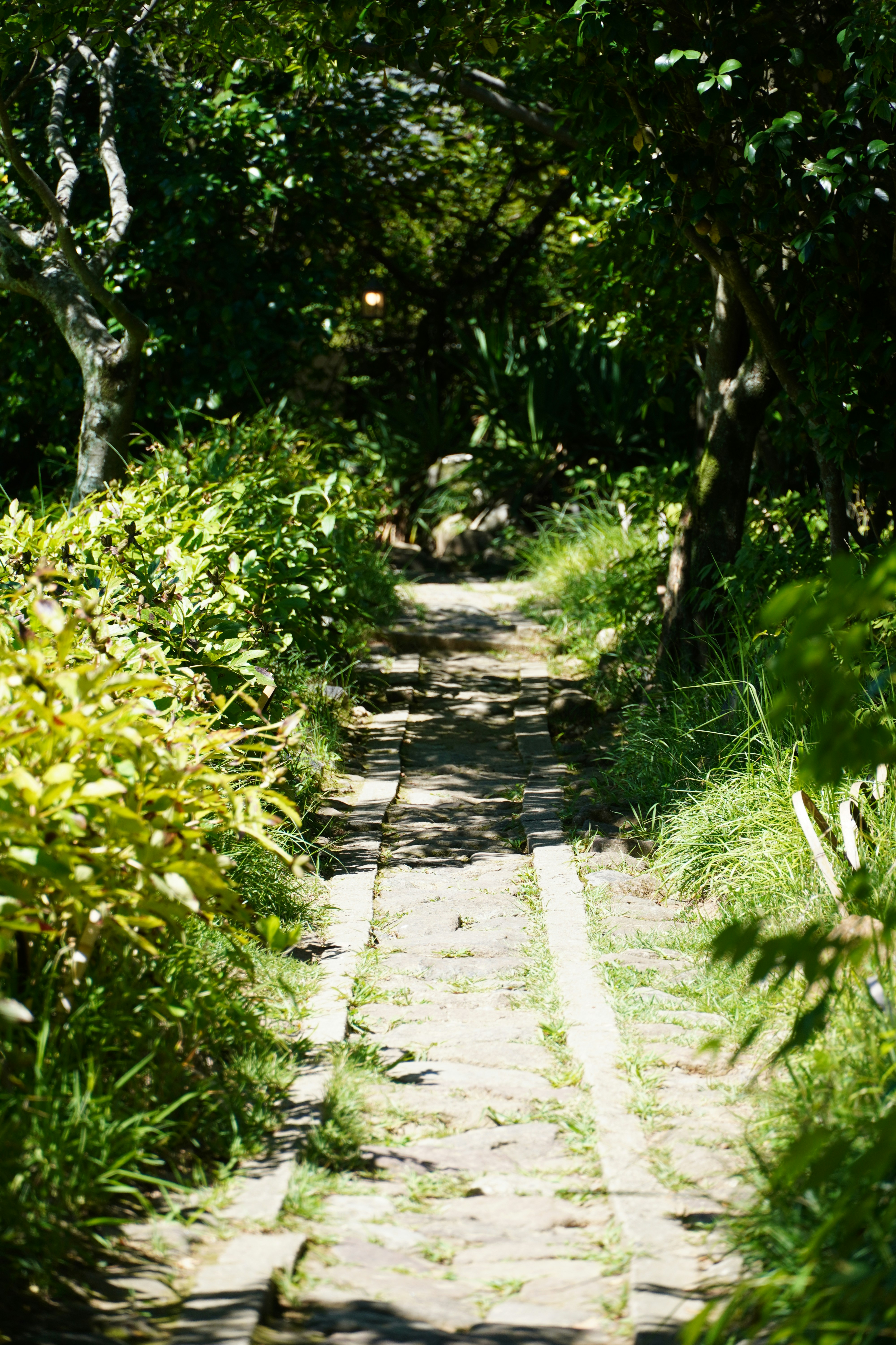 Photo by lifeinkorea