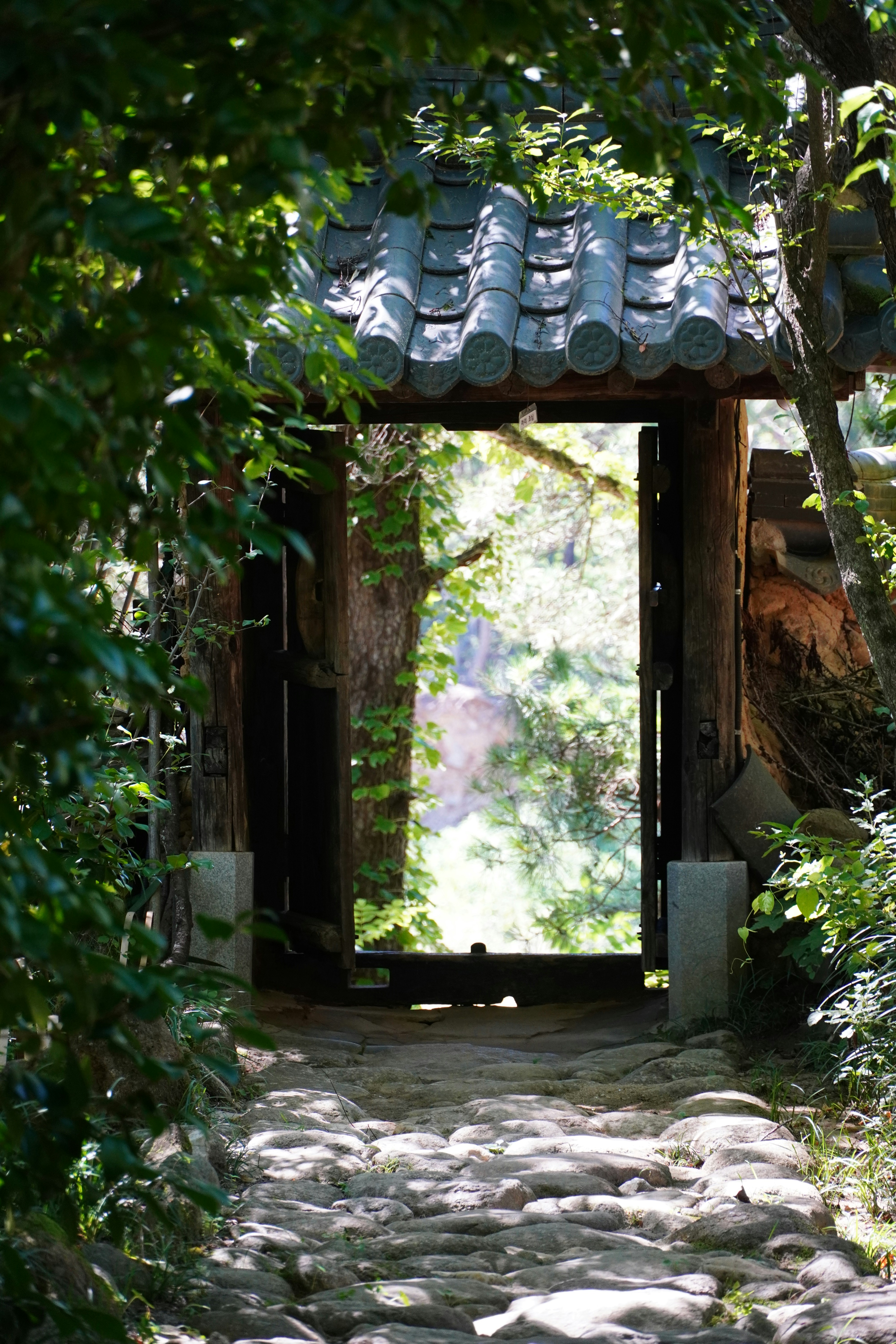 Photo by lifeinkorea