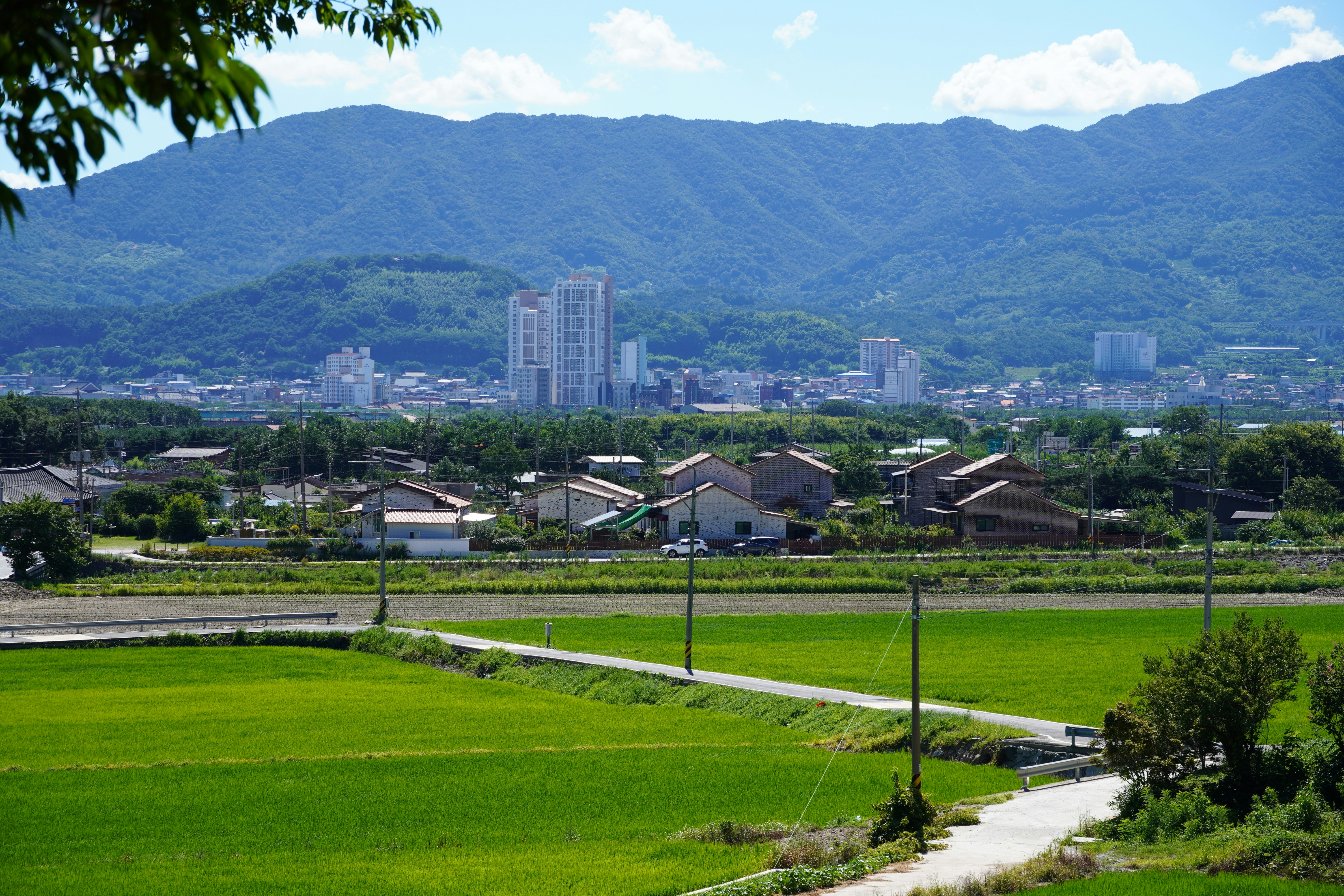 Photo by lifeinkorea