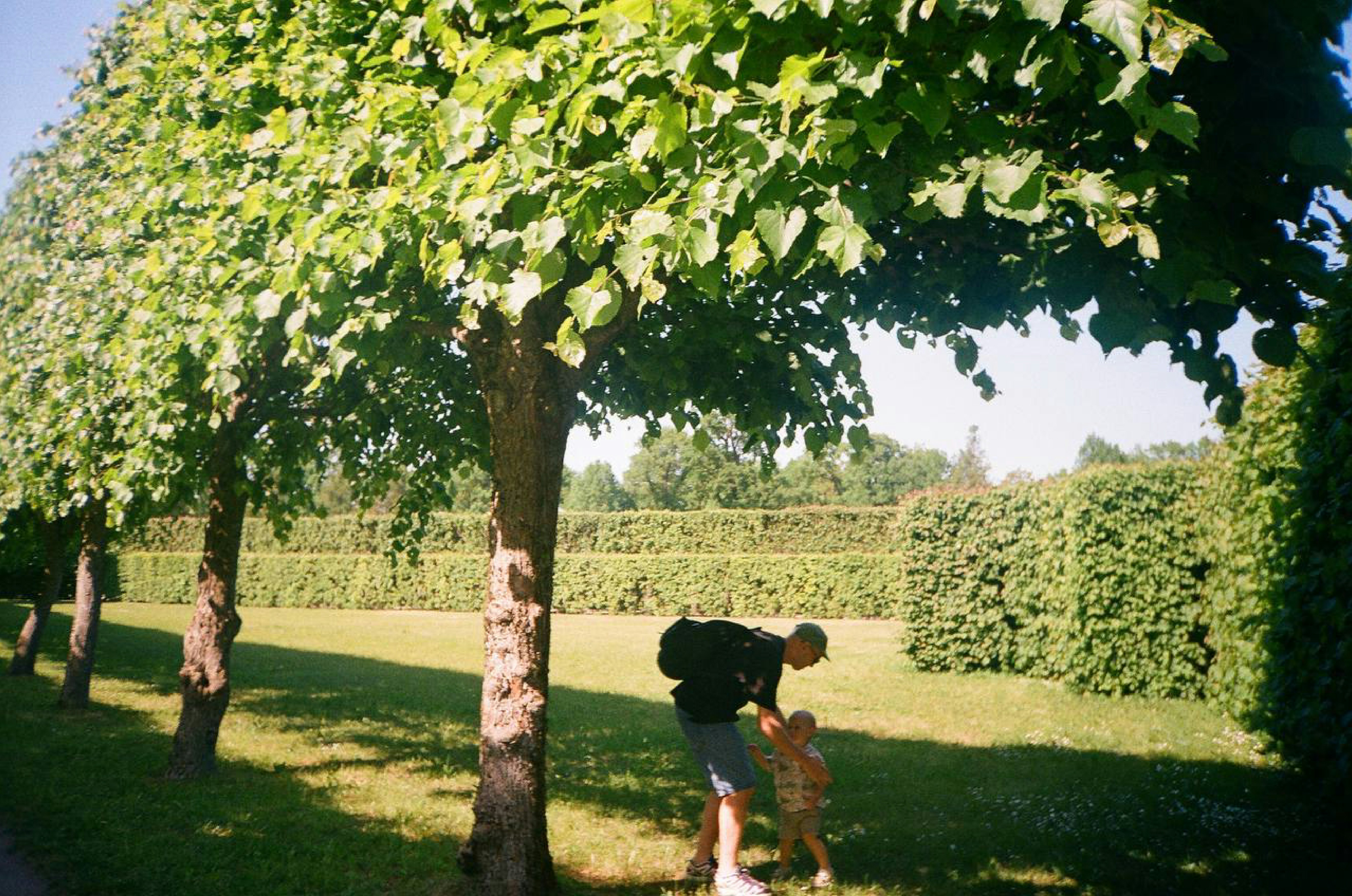 Man and child walking under trees in park