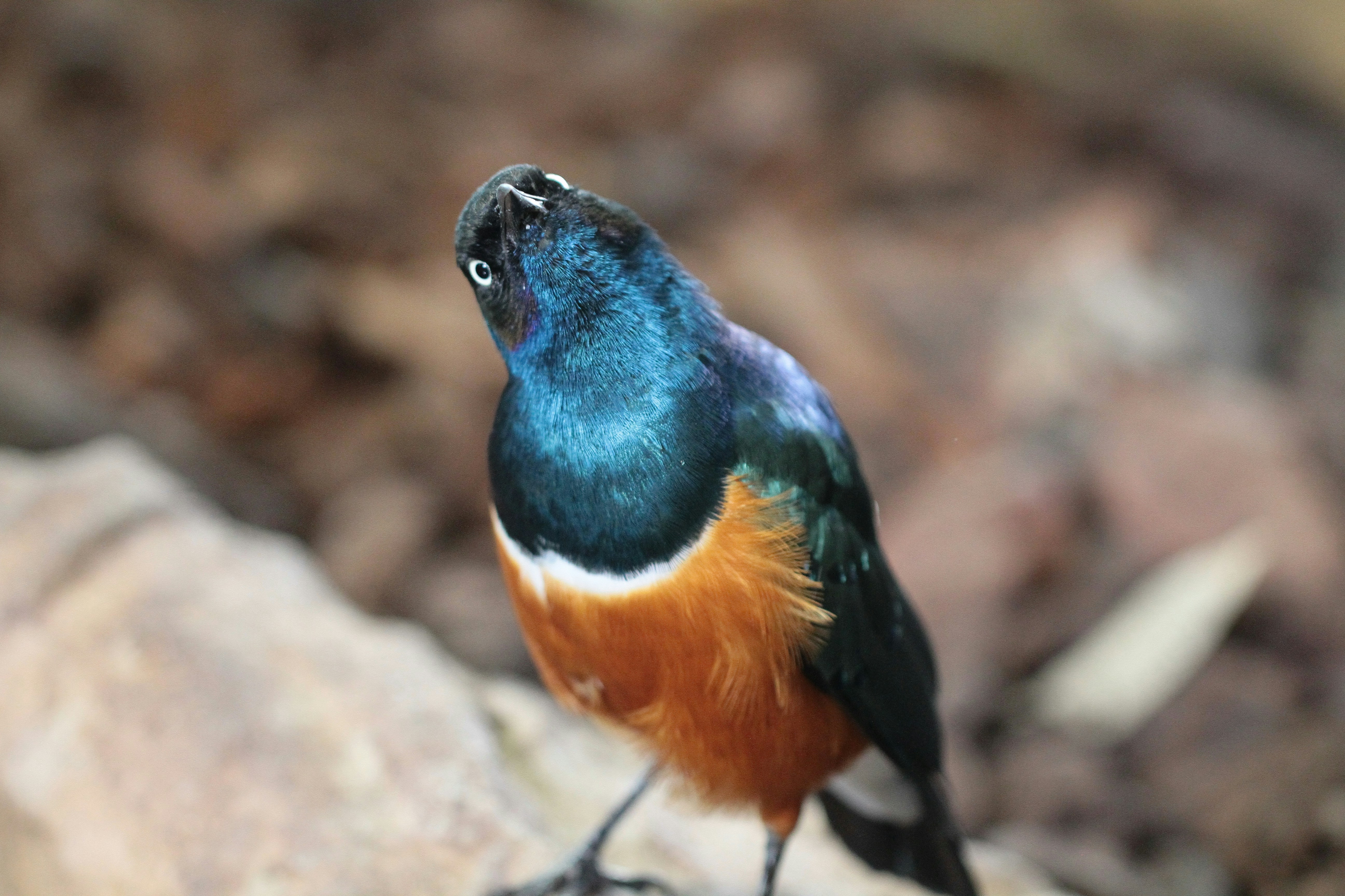 Photo by alightproduction_by_sabrinawendl