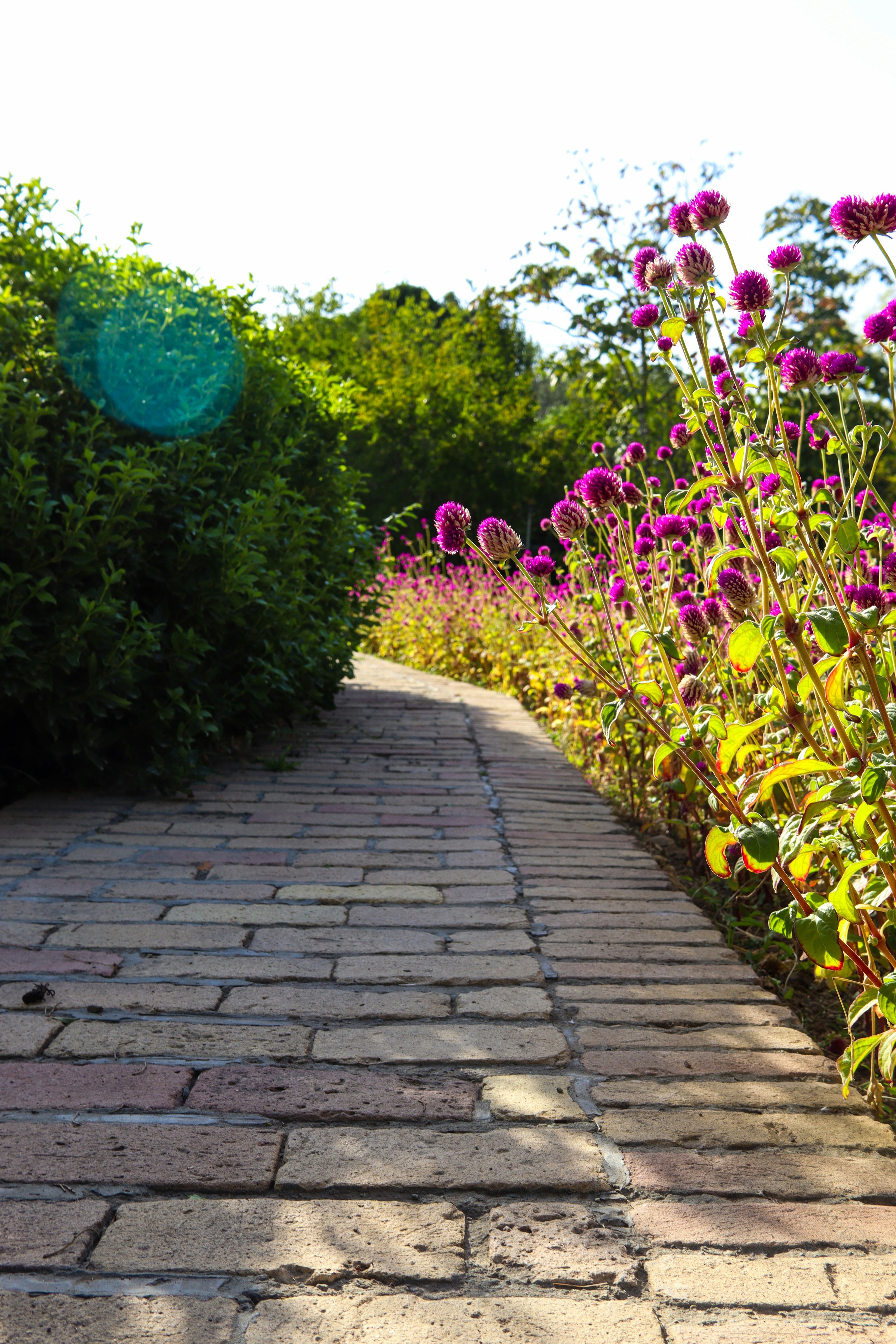 Mark Henderson after