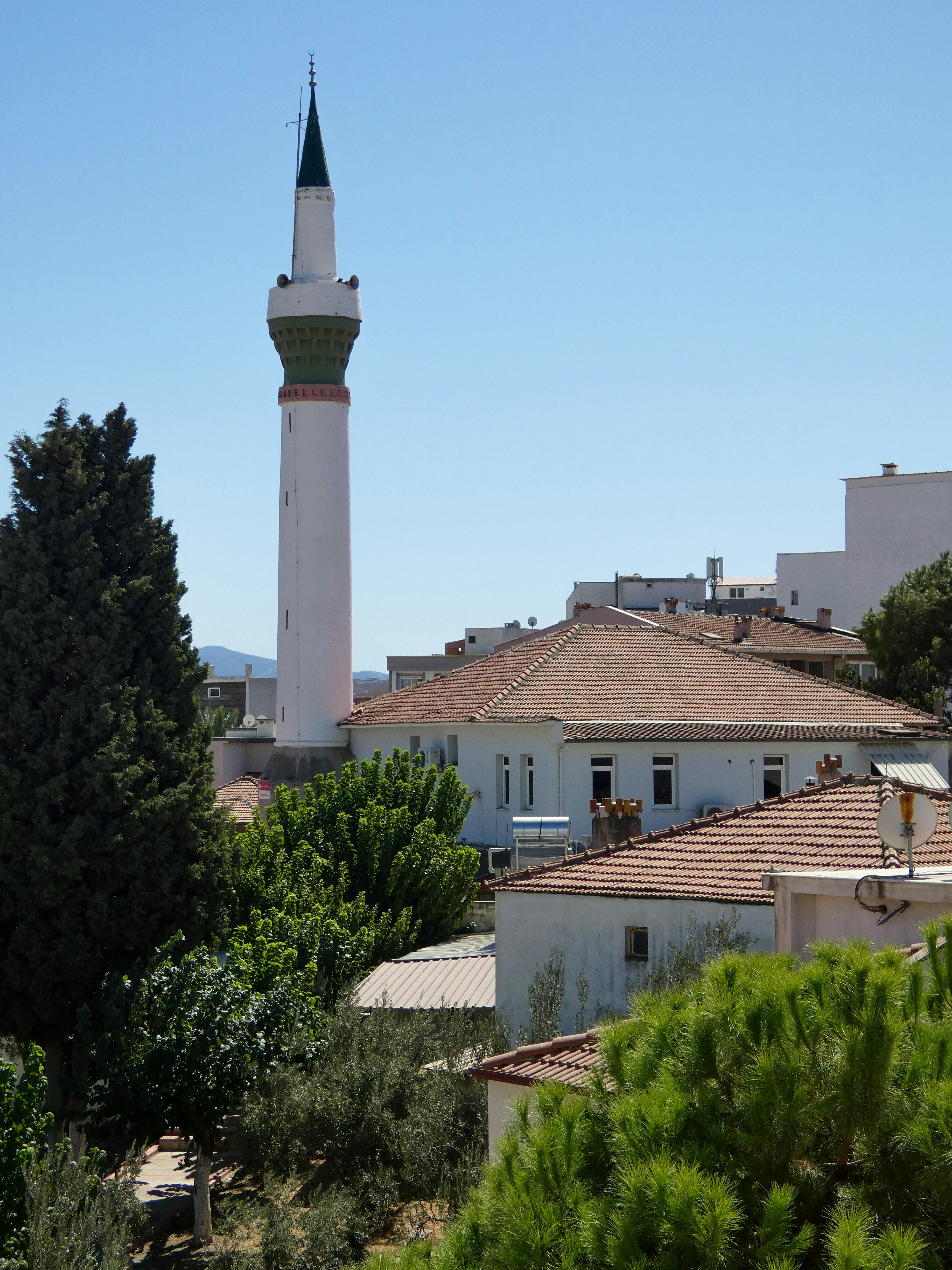 El minarete de una mezquita se eleva por encima de edificios y árboles.