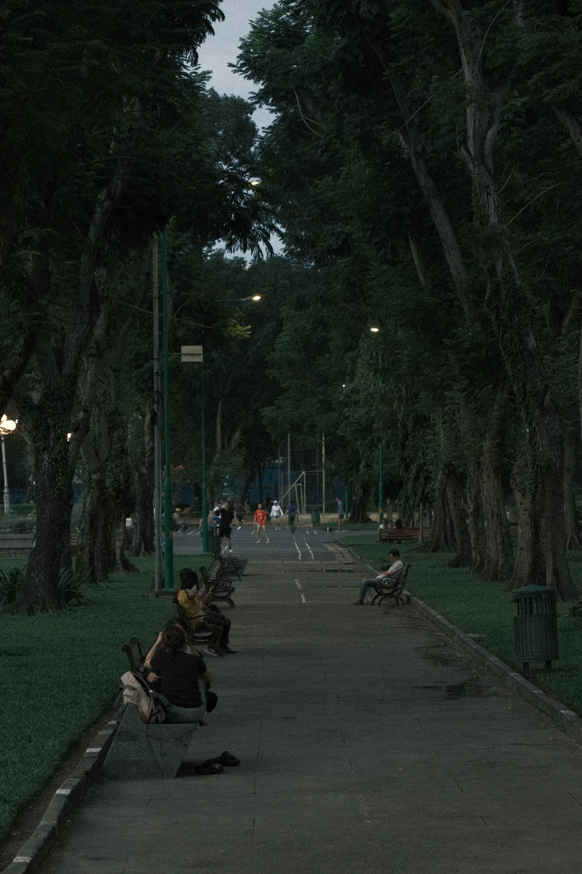 People resting on benches along a tree-lined park path