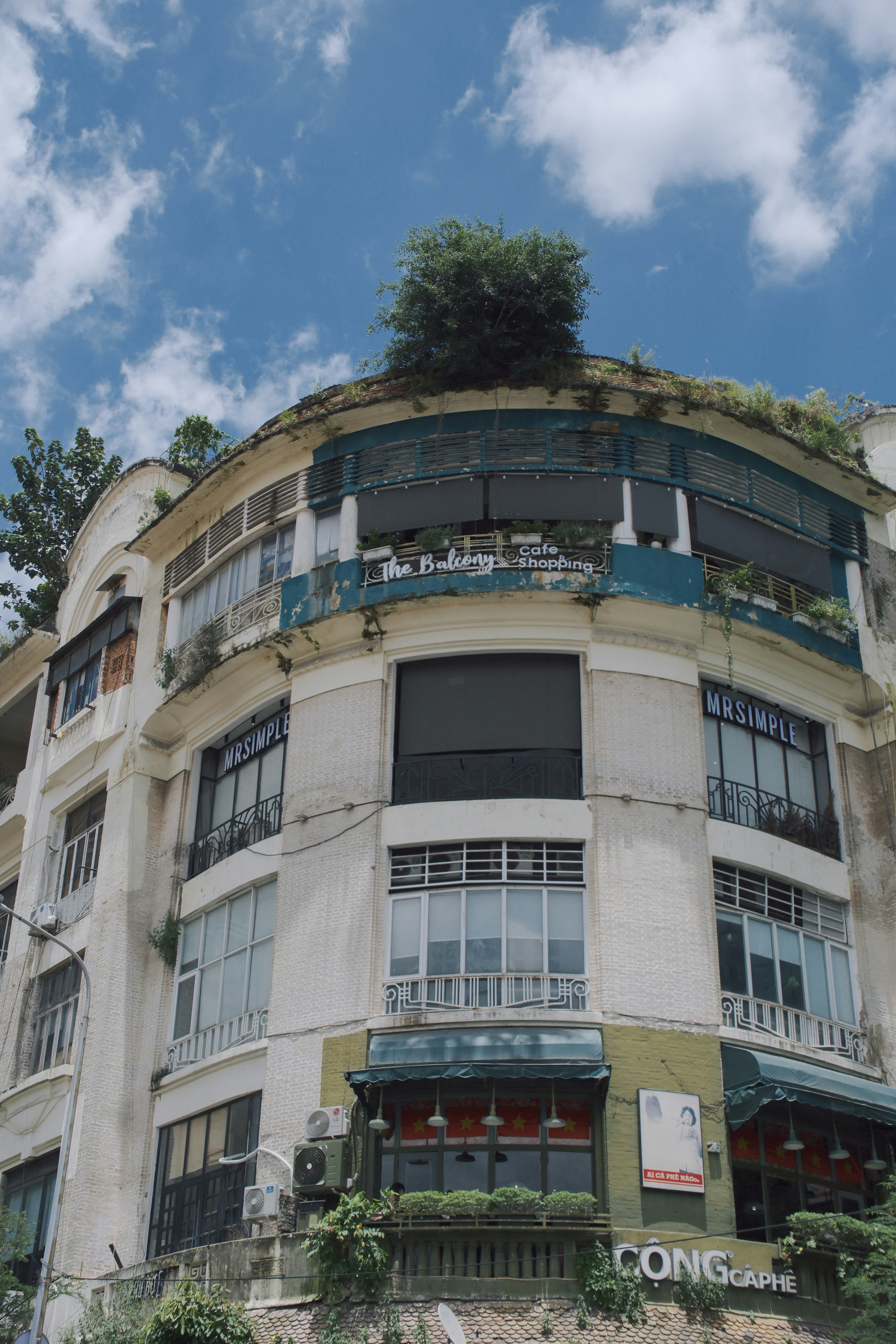 Old building with a tree growing on top.