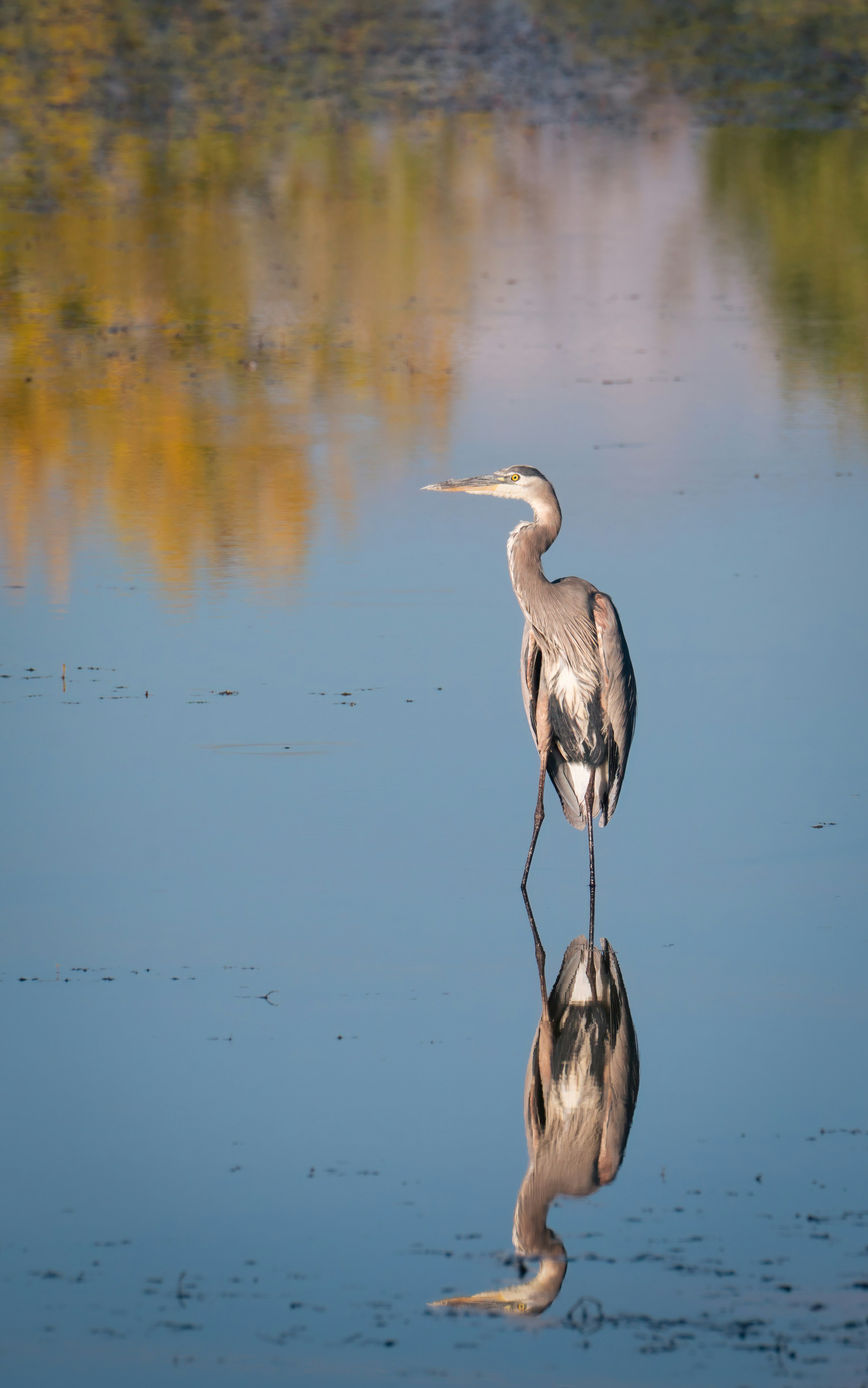 Photo by rob_bird_photography