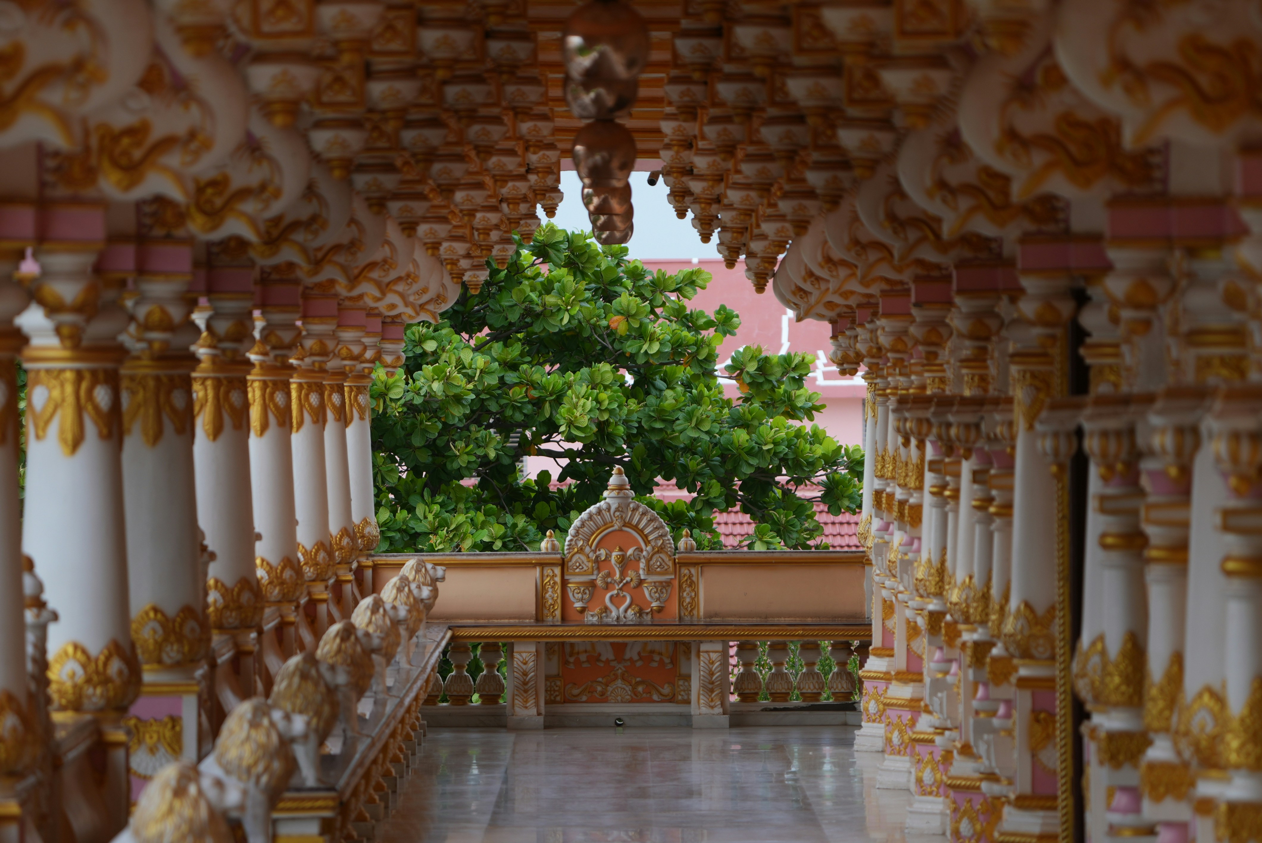 Passerella del tempio decorata con un albero verde lussureggiante sullo sfondo.