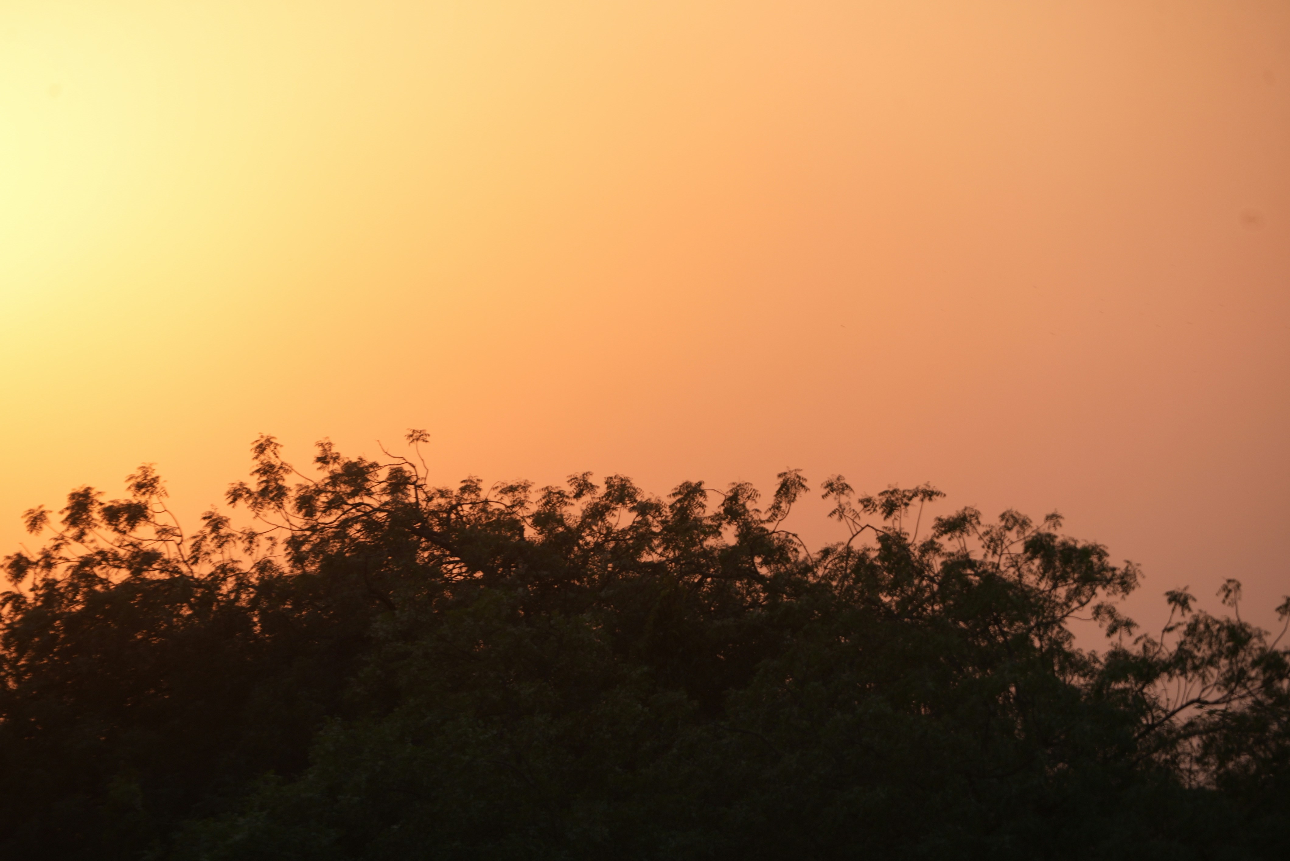 Photo by gokuldhamnar