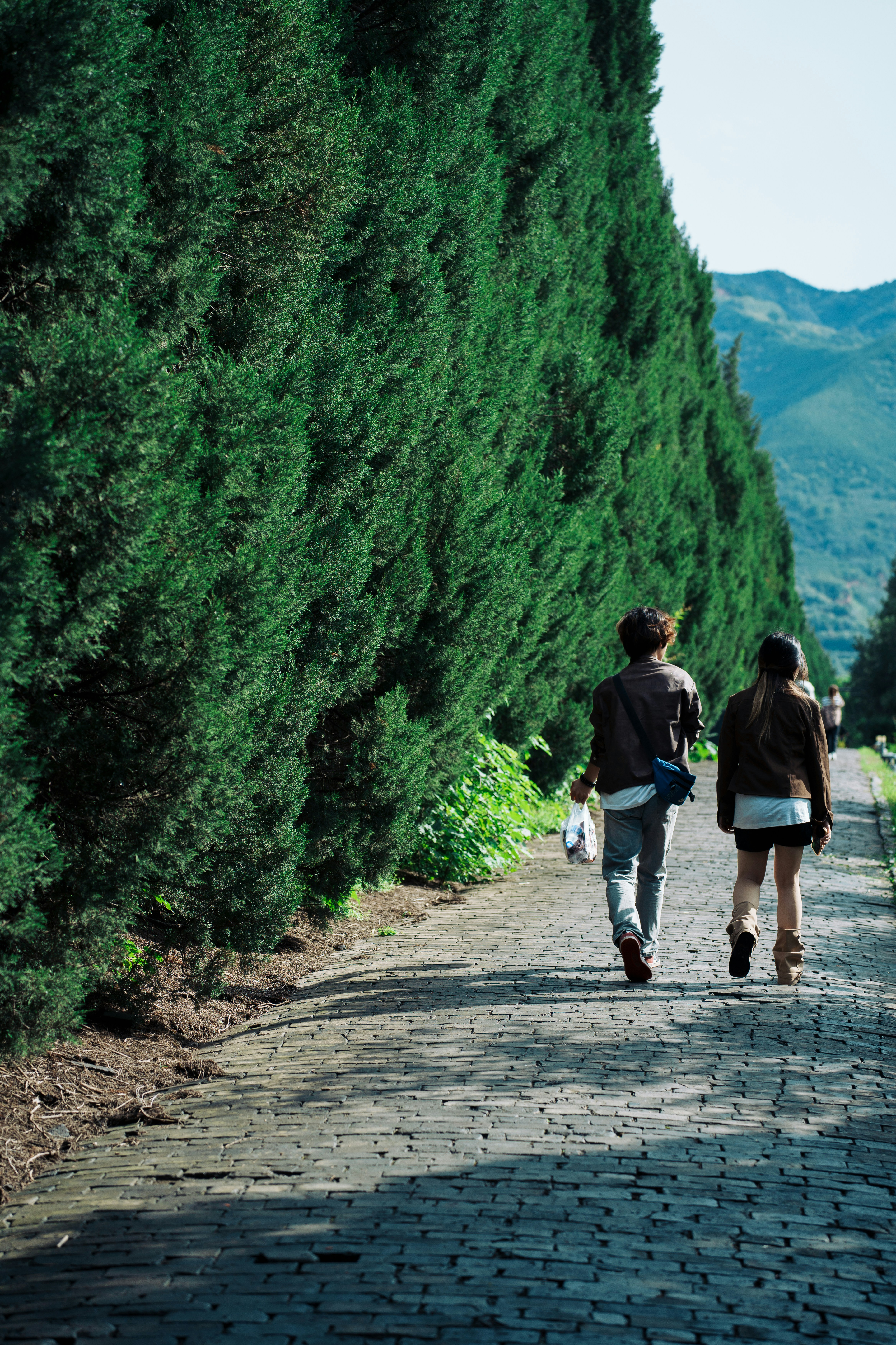 Two people walk down a tree-lined cobblestone path.