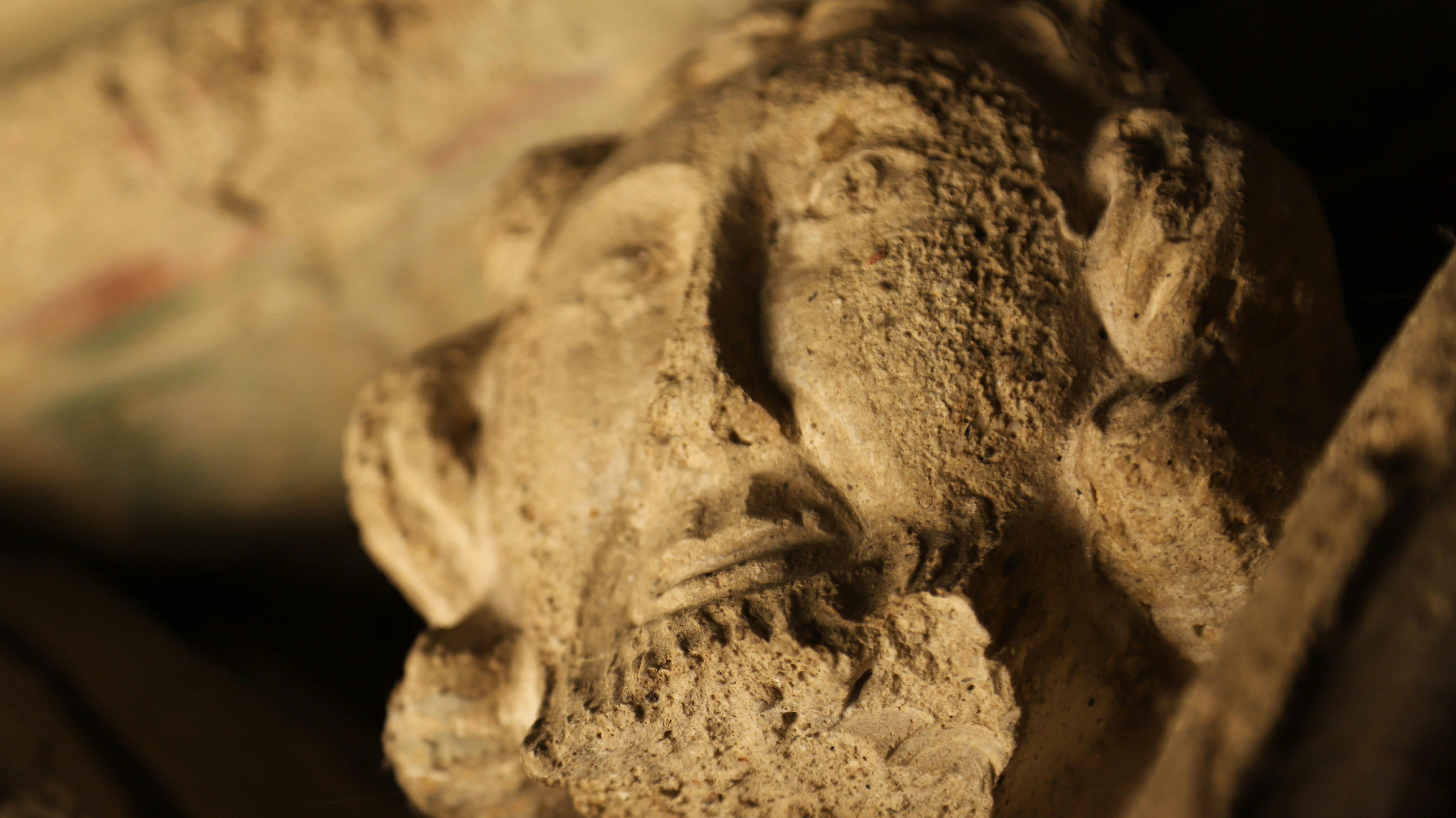 Photo by paul_fingerhut