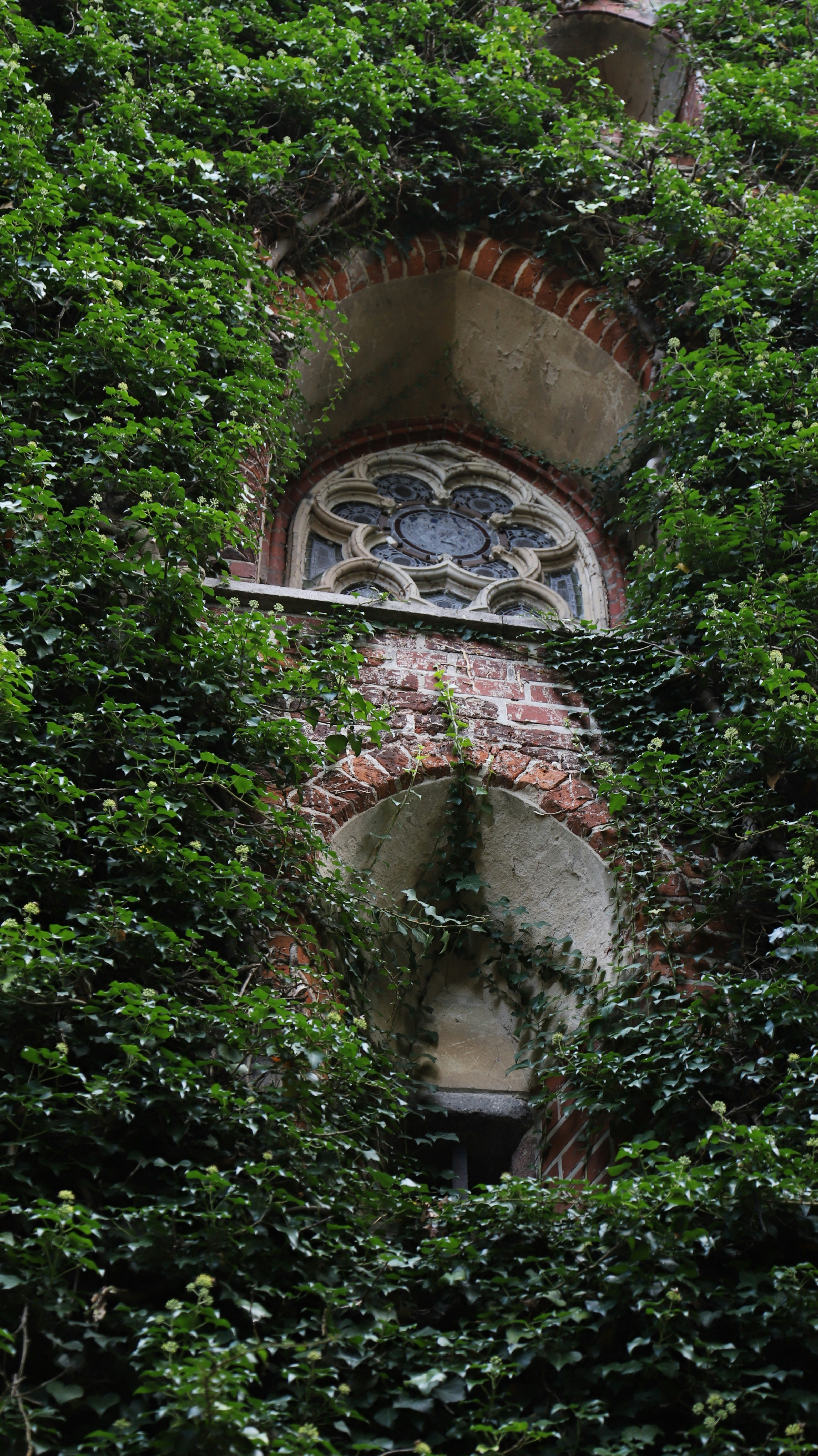 Photo by paul_fingerhut