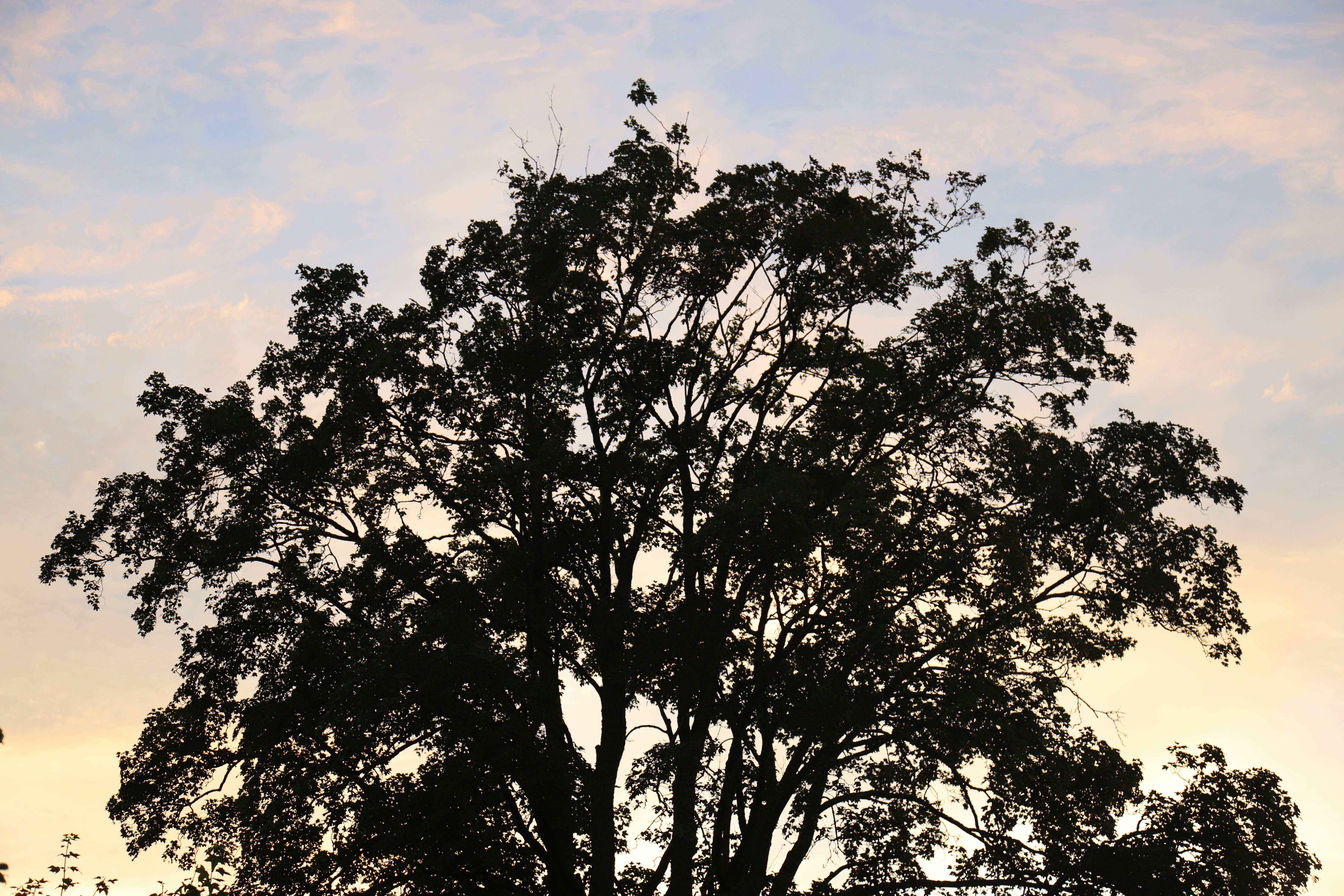 Photo by paul_fingerhut