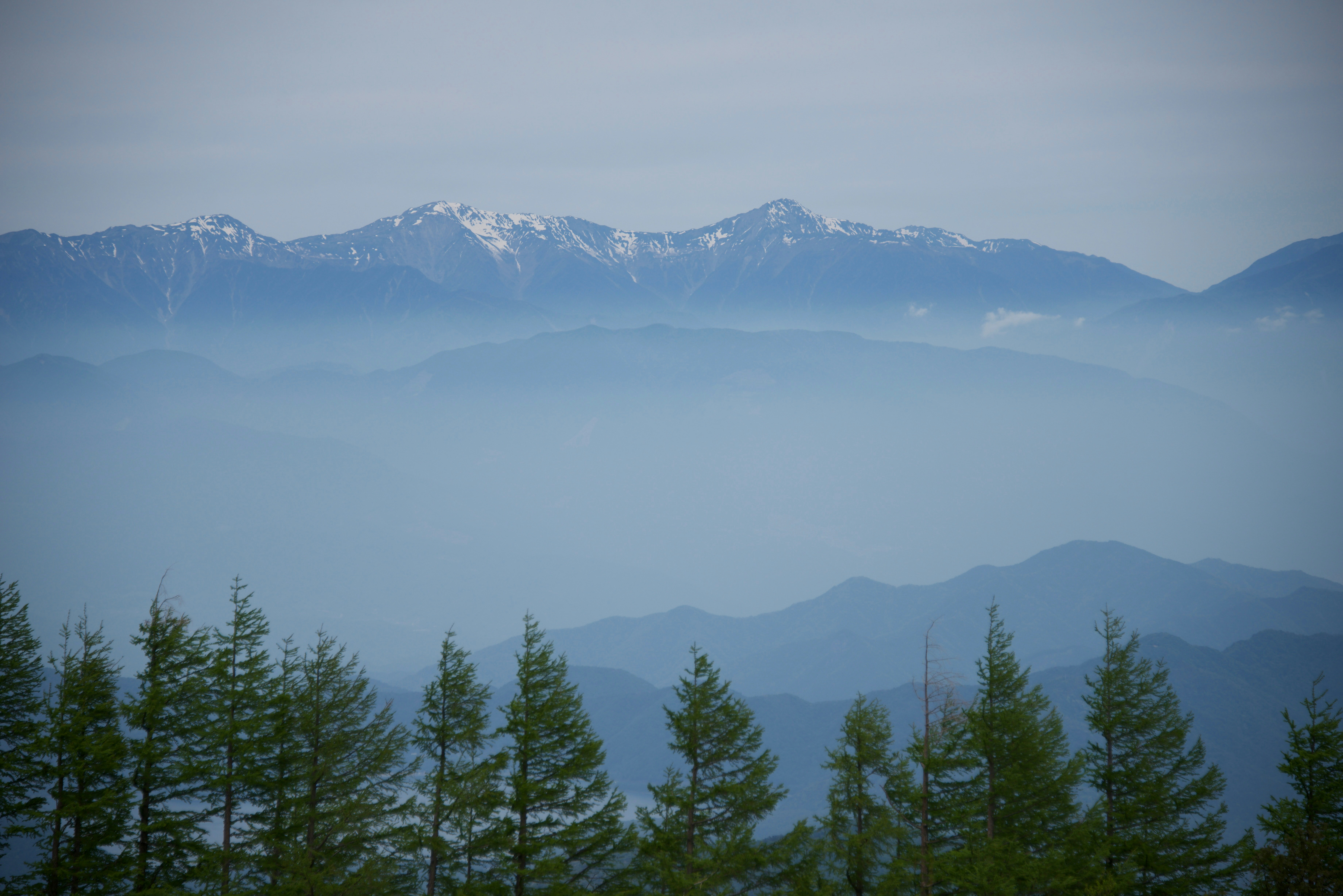 Montañas cubiertas de nieve envueltas en niebla con pinos.