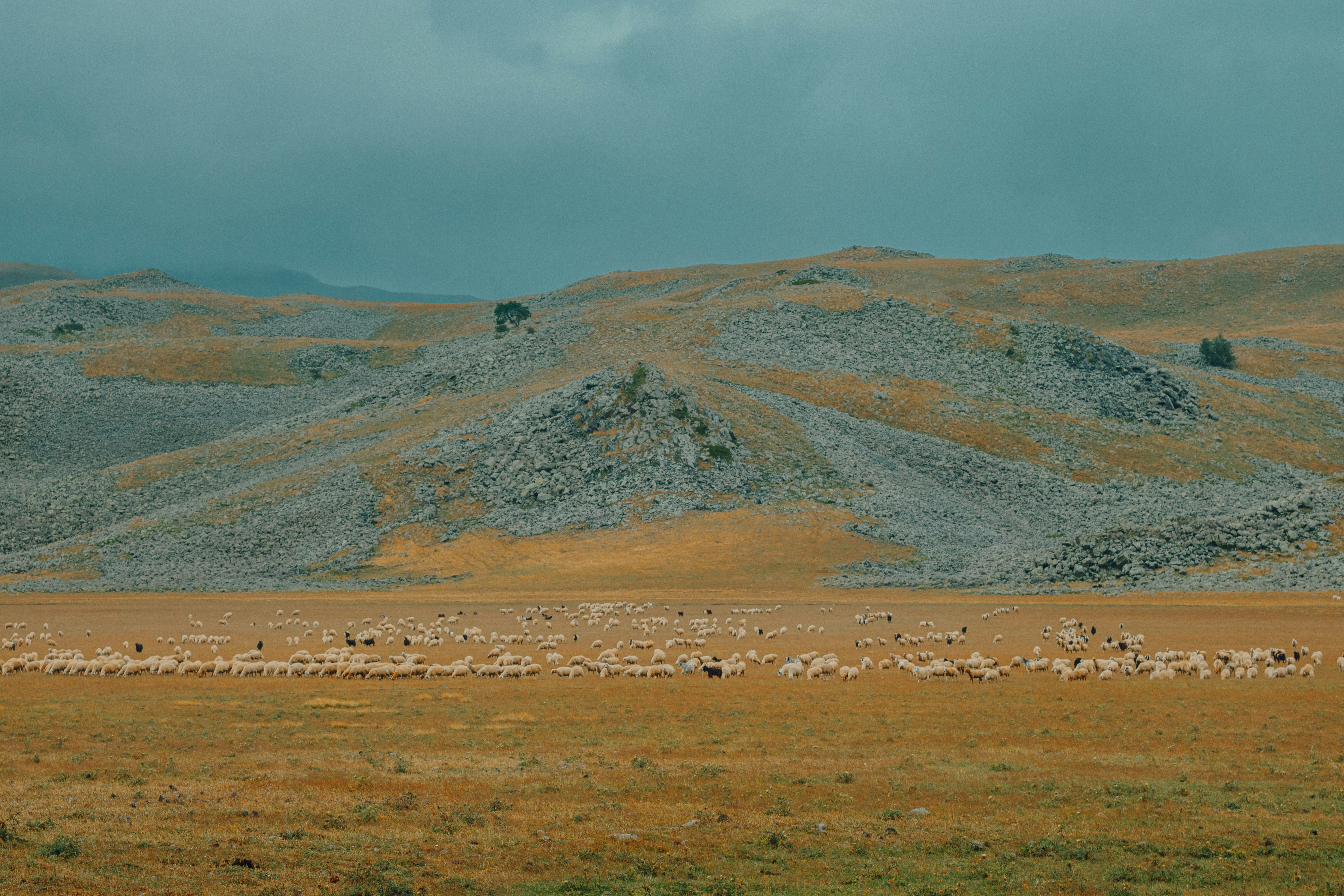 Photo by liuba_kotorobay