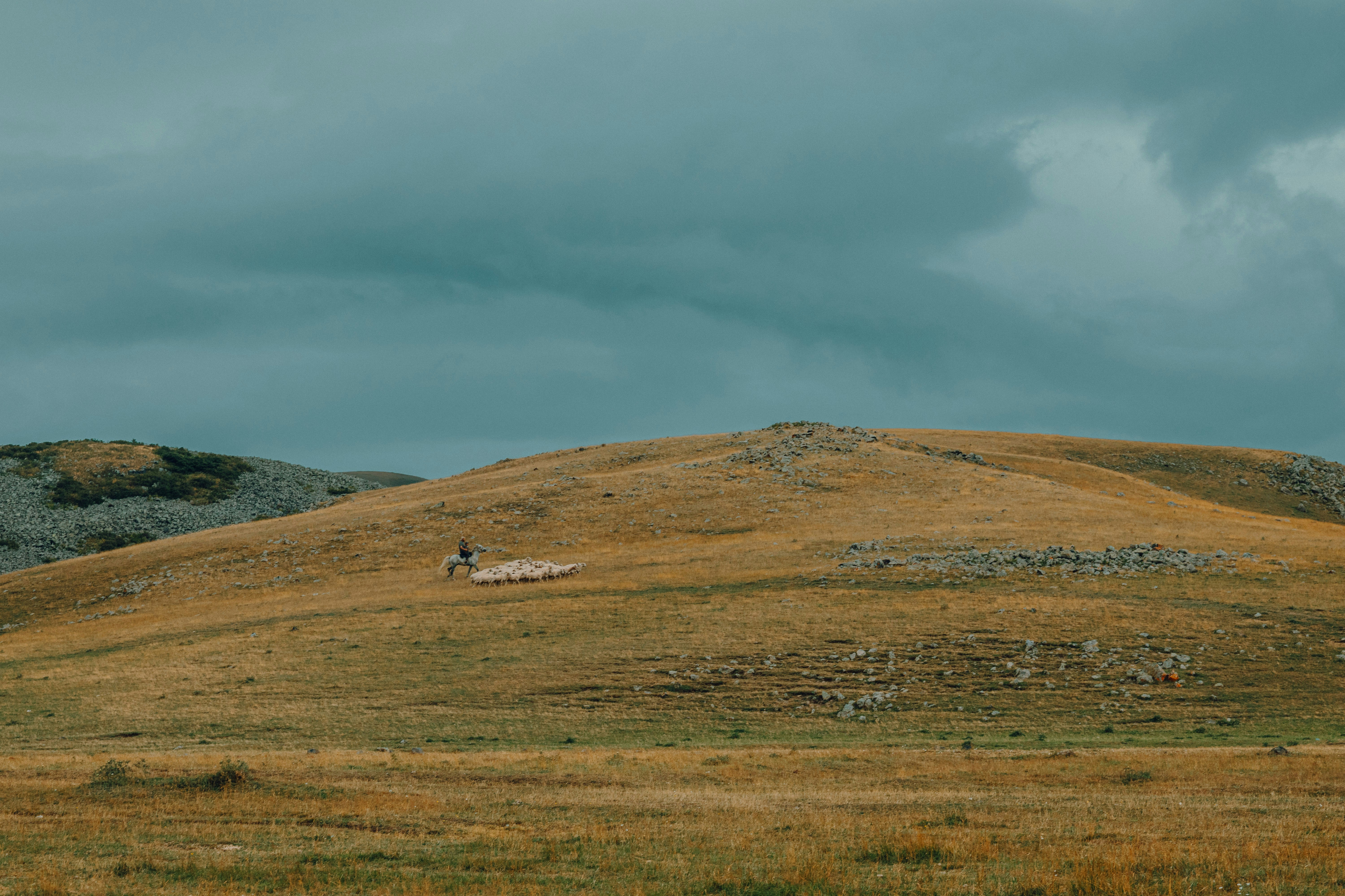 Photo by liuba_kotorobay