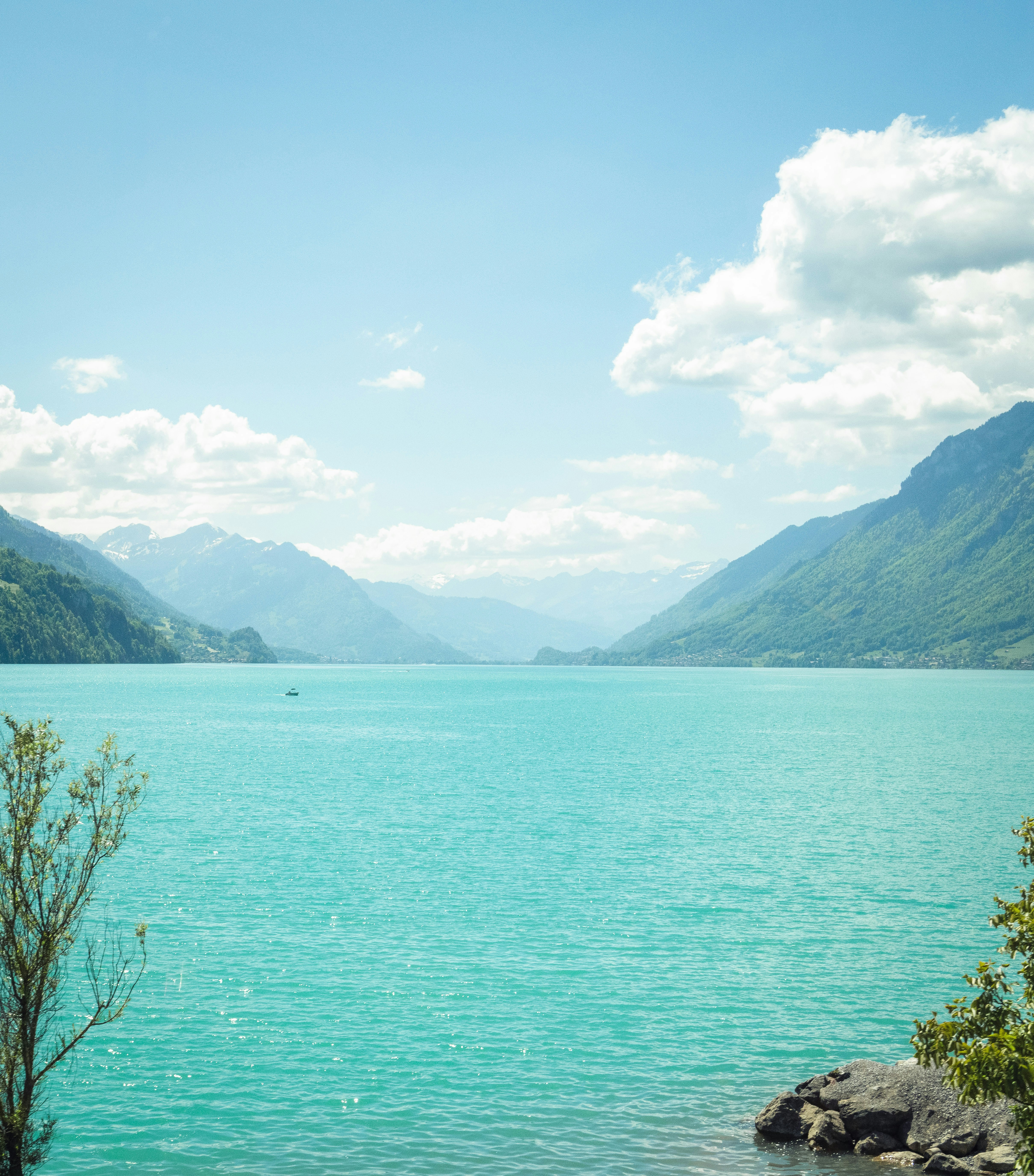Photo by sriniunsplash