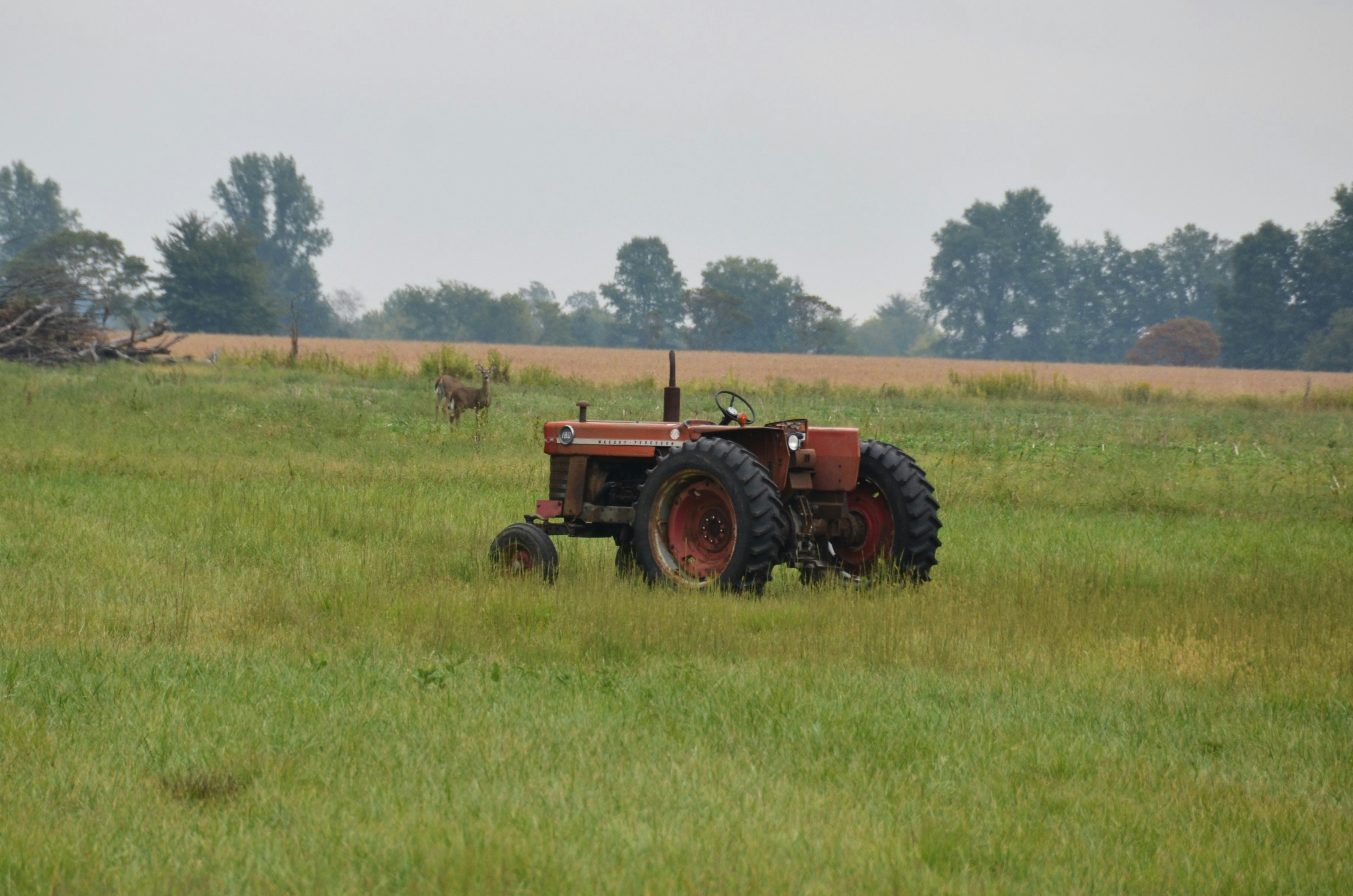 A tractor equipped with a rotary cutter mowing a pasture