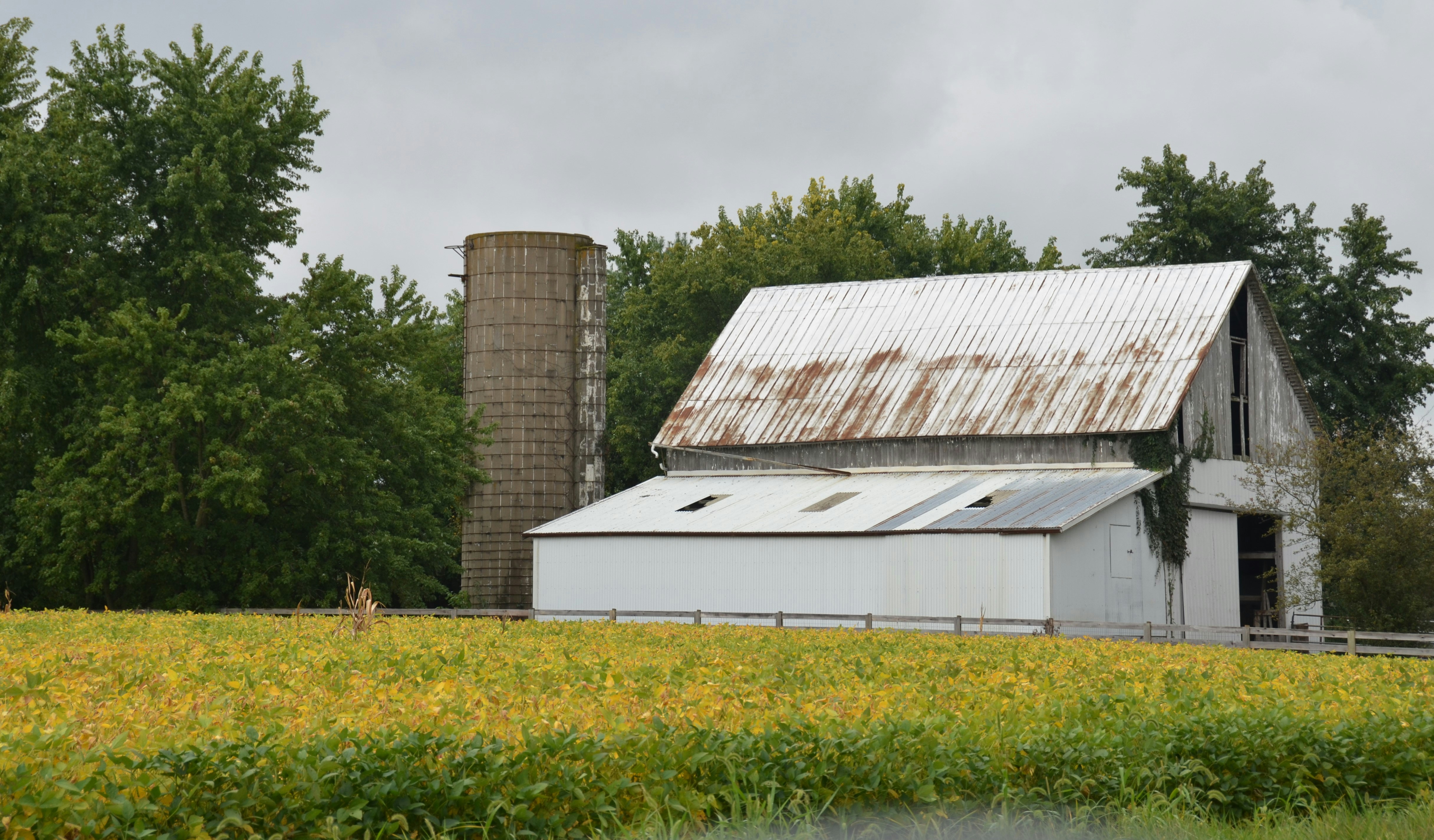 Barn and silo in a field with trees.