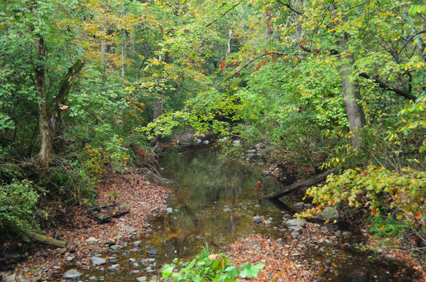 Joshua Creek, Oakville