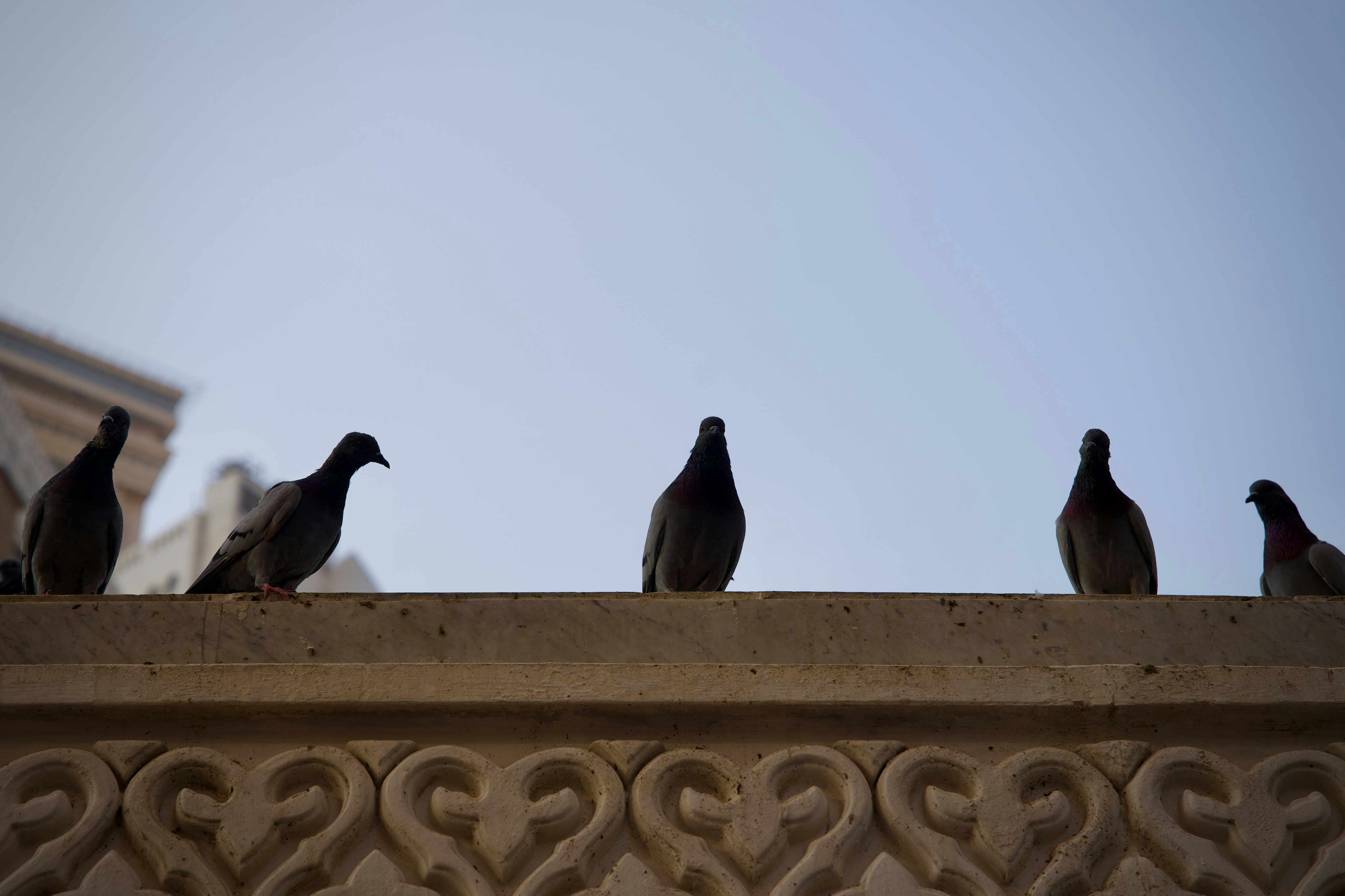 Photo by hisham_zayadneh