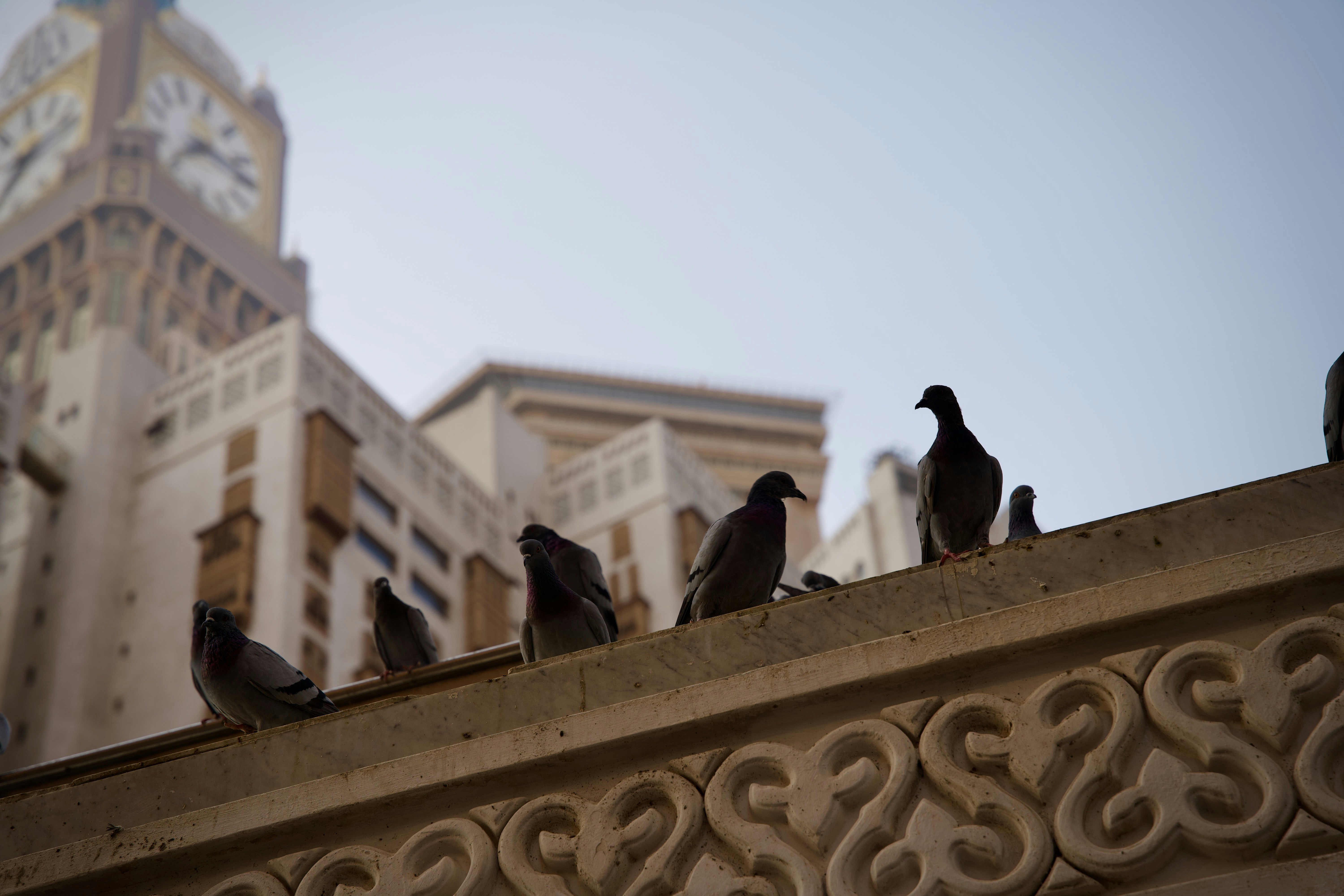 صورة المعرض