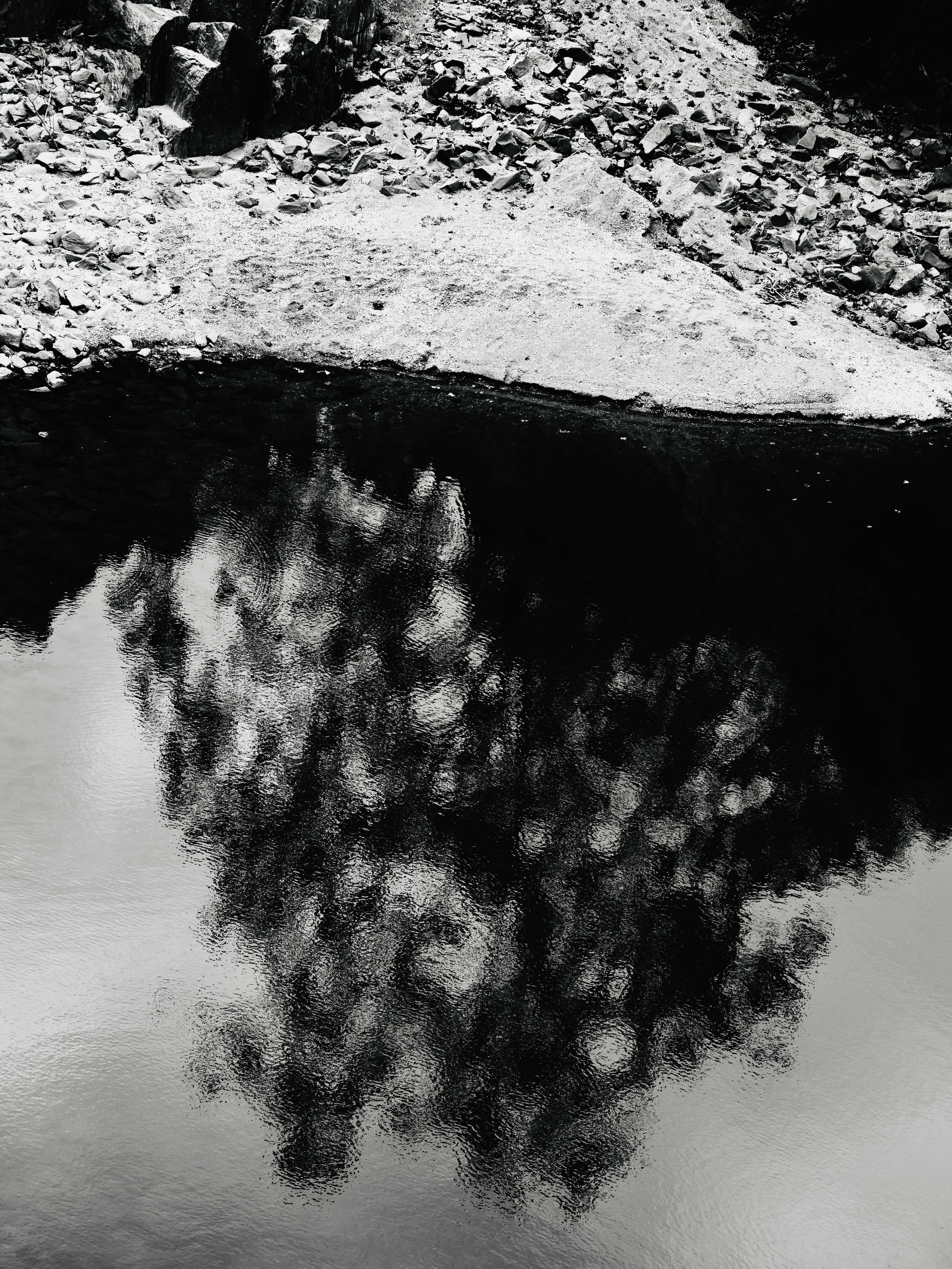 Photo by sschusterphotoart