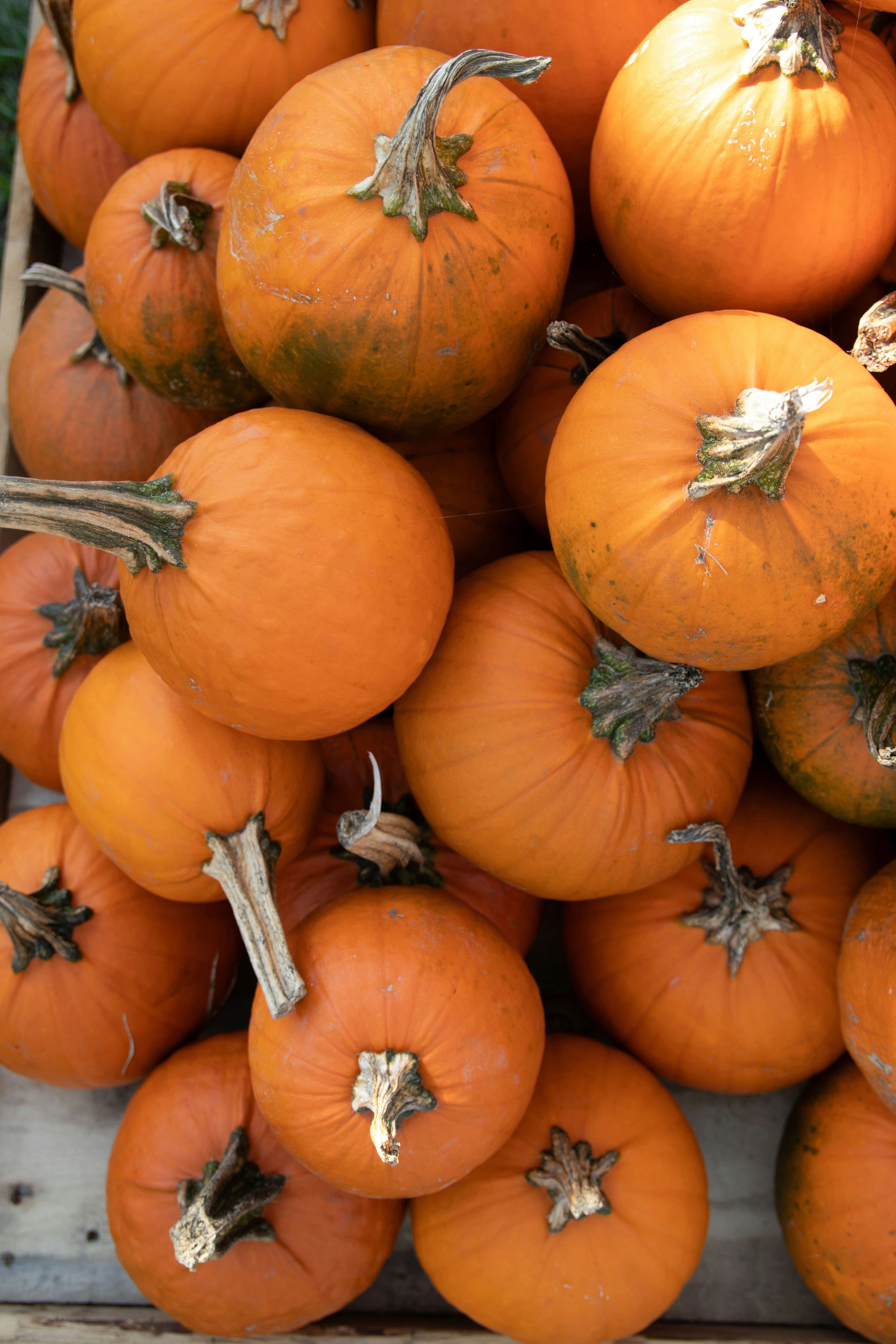 Photo by feeling_hope