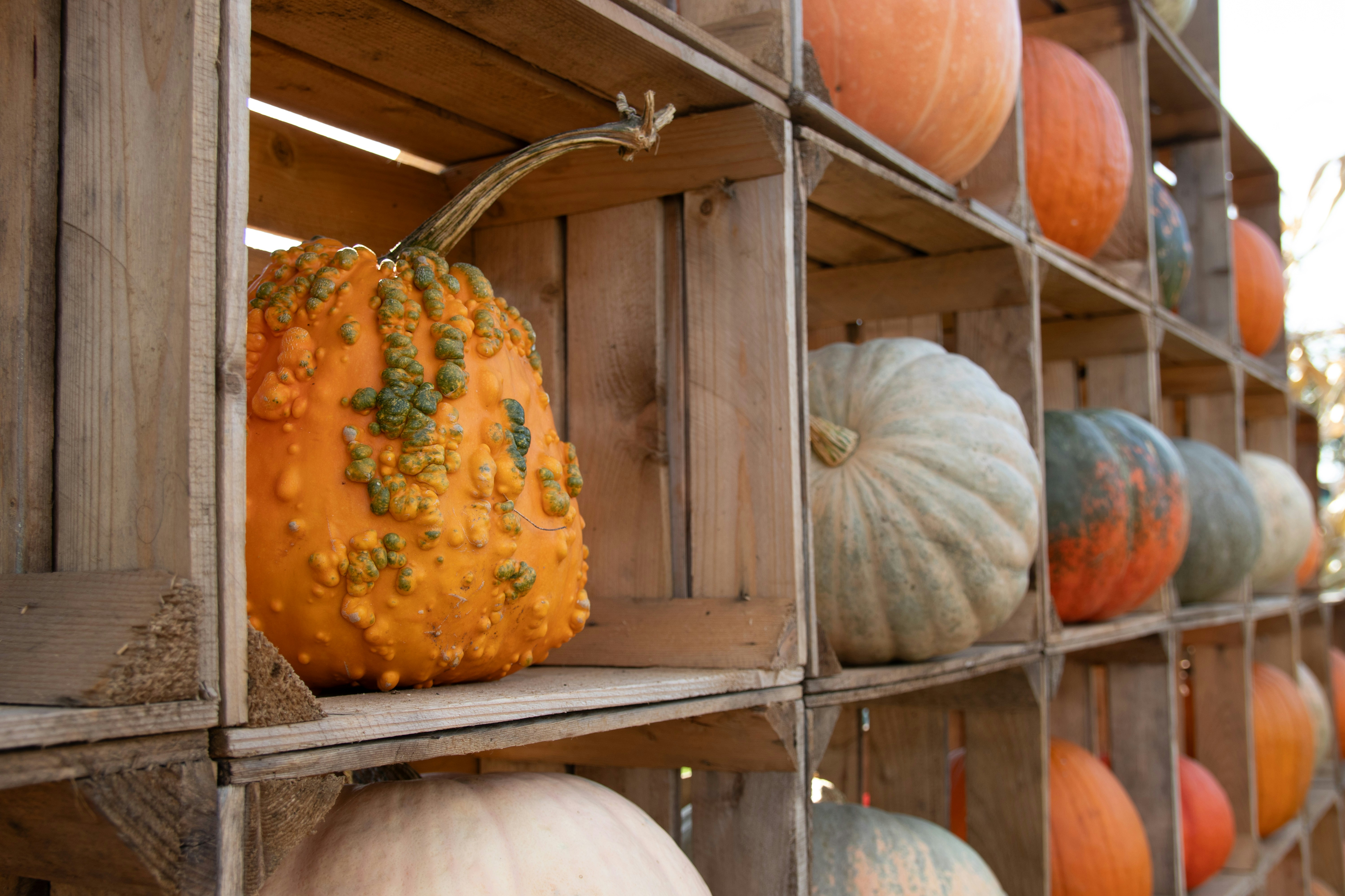 Photo by feeling_hope