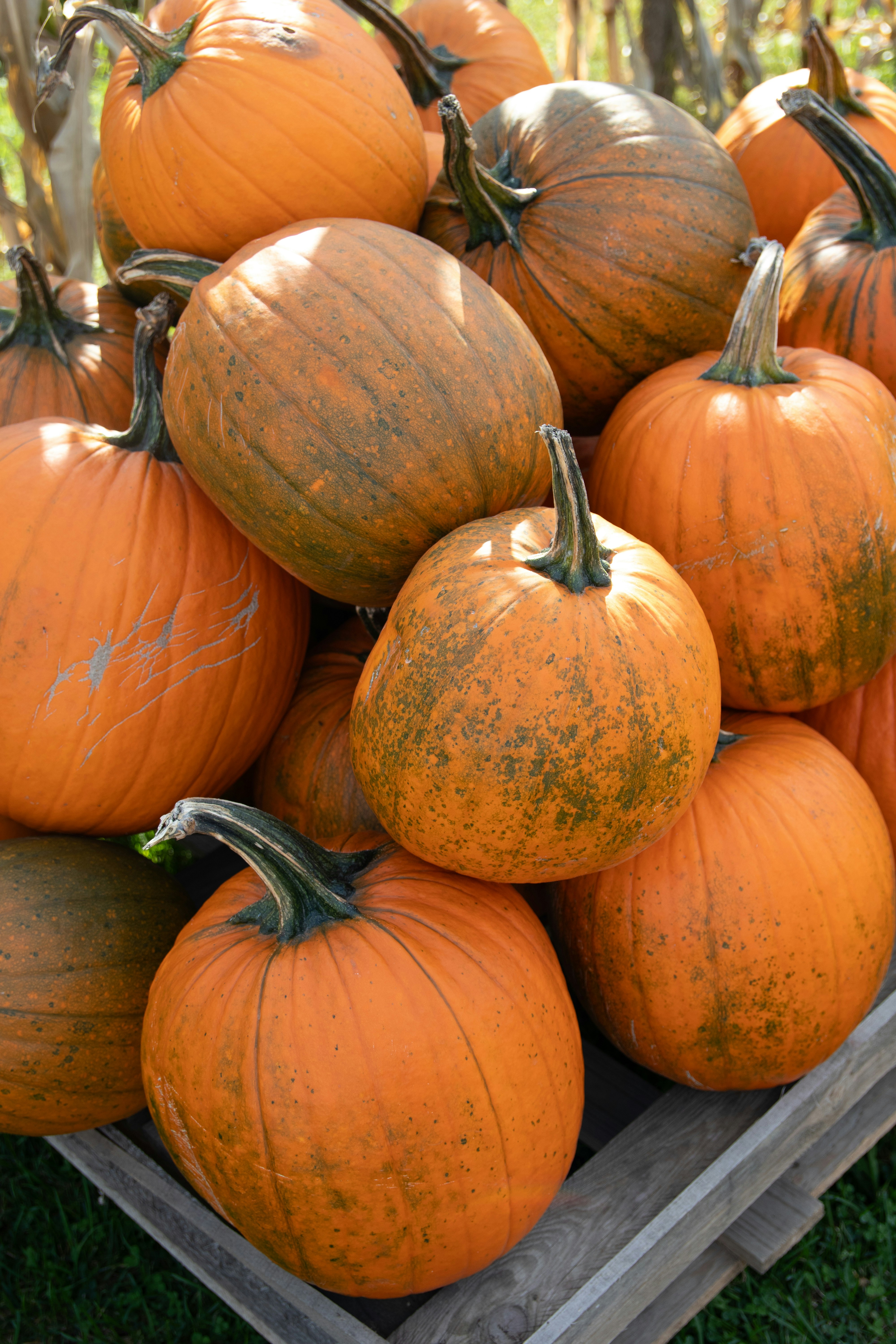 Photo by feeling_hope