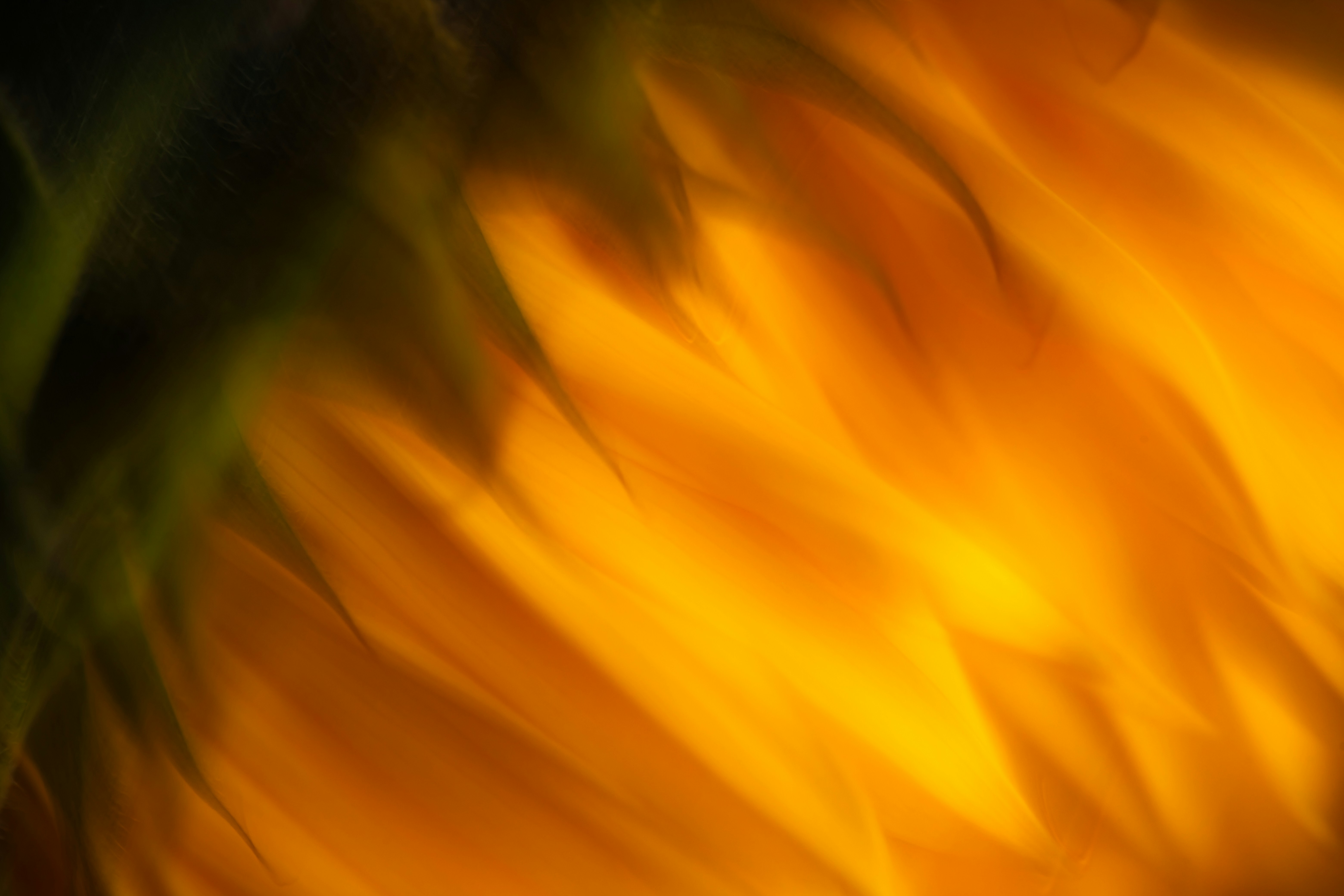 Make The Ideal Choice For Your Child'S Very Early Years By Discovering The Essential Differences Between Preschool And Day Care