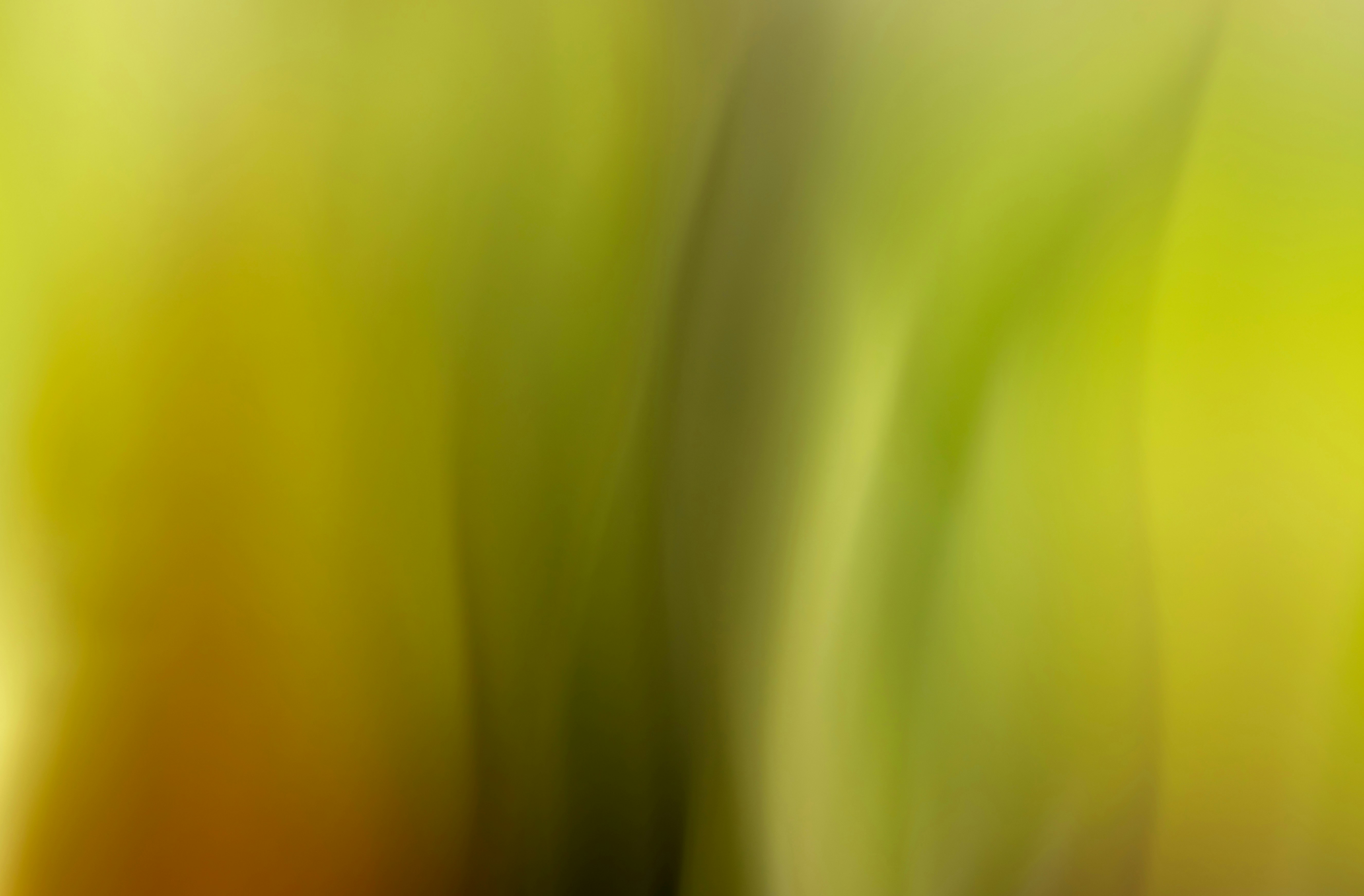 Abstract vertical streaks of yellow and green