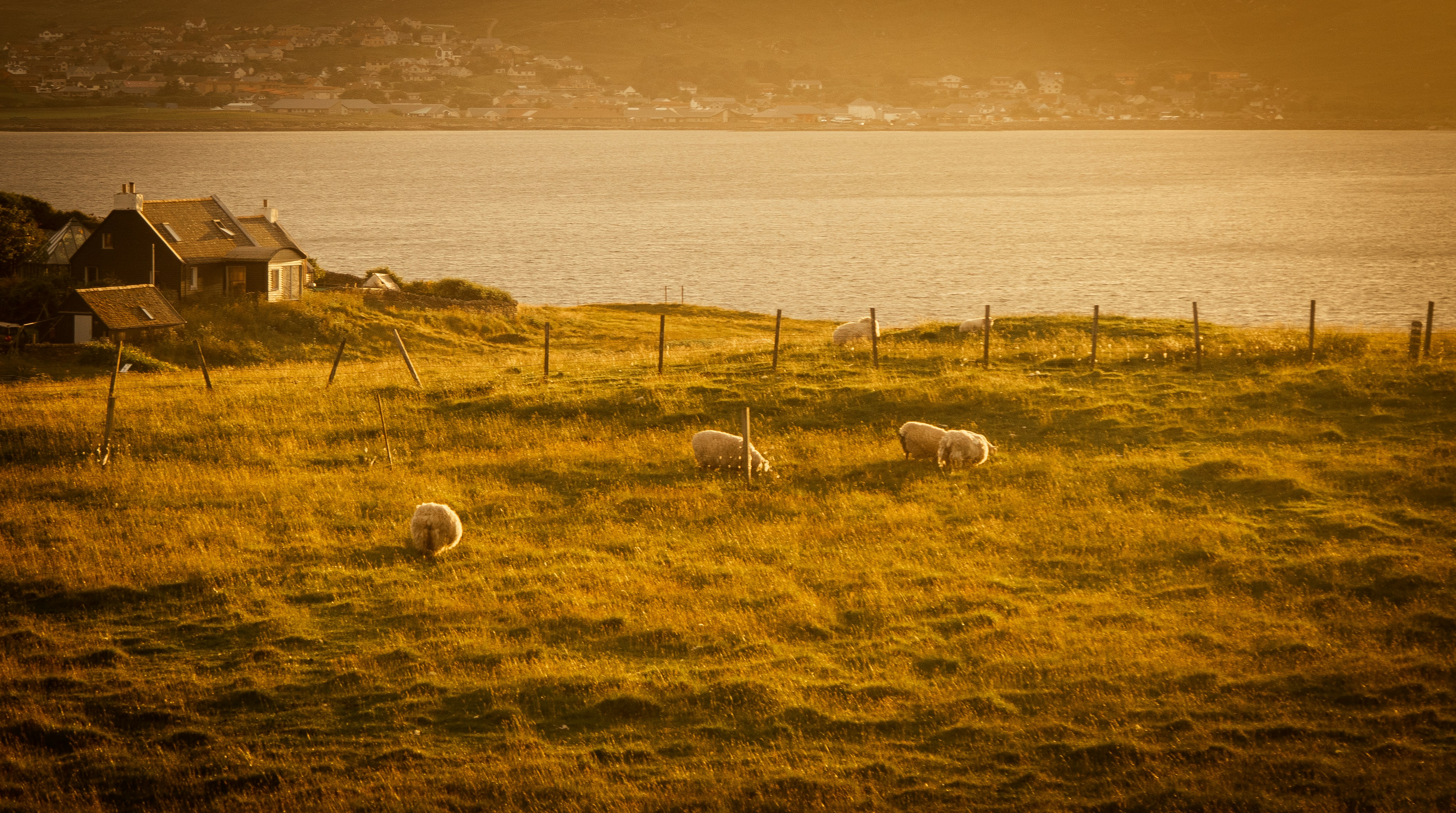 Photo by tommygmedia