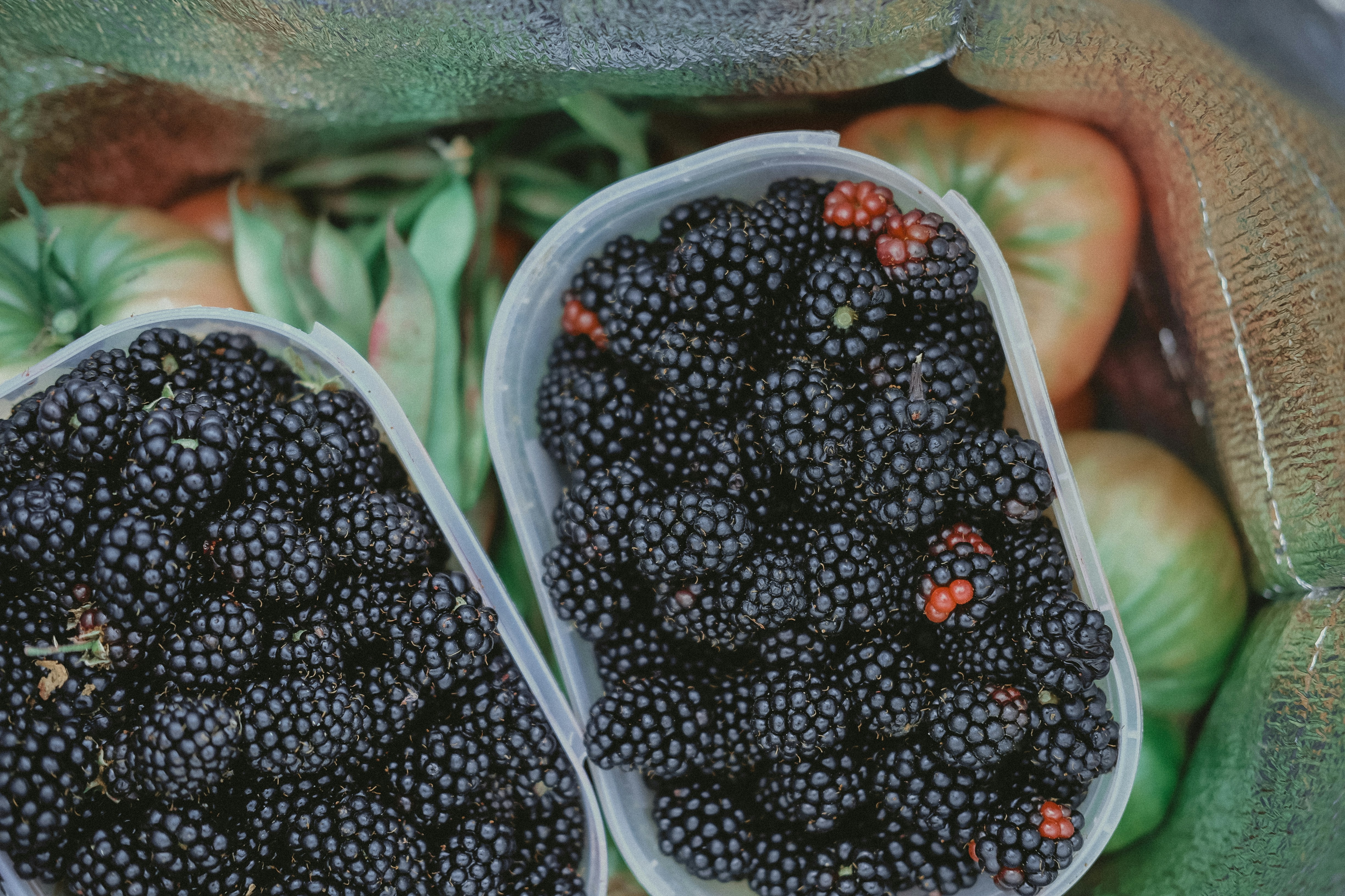 Blackberries and tomatoes