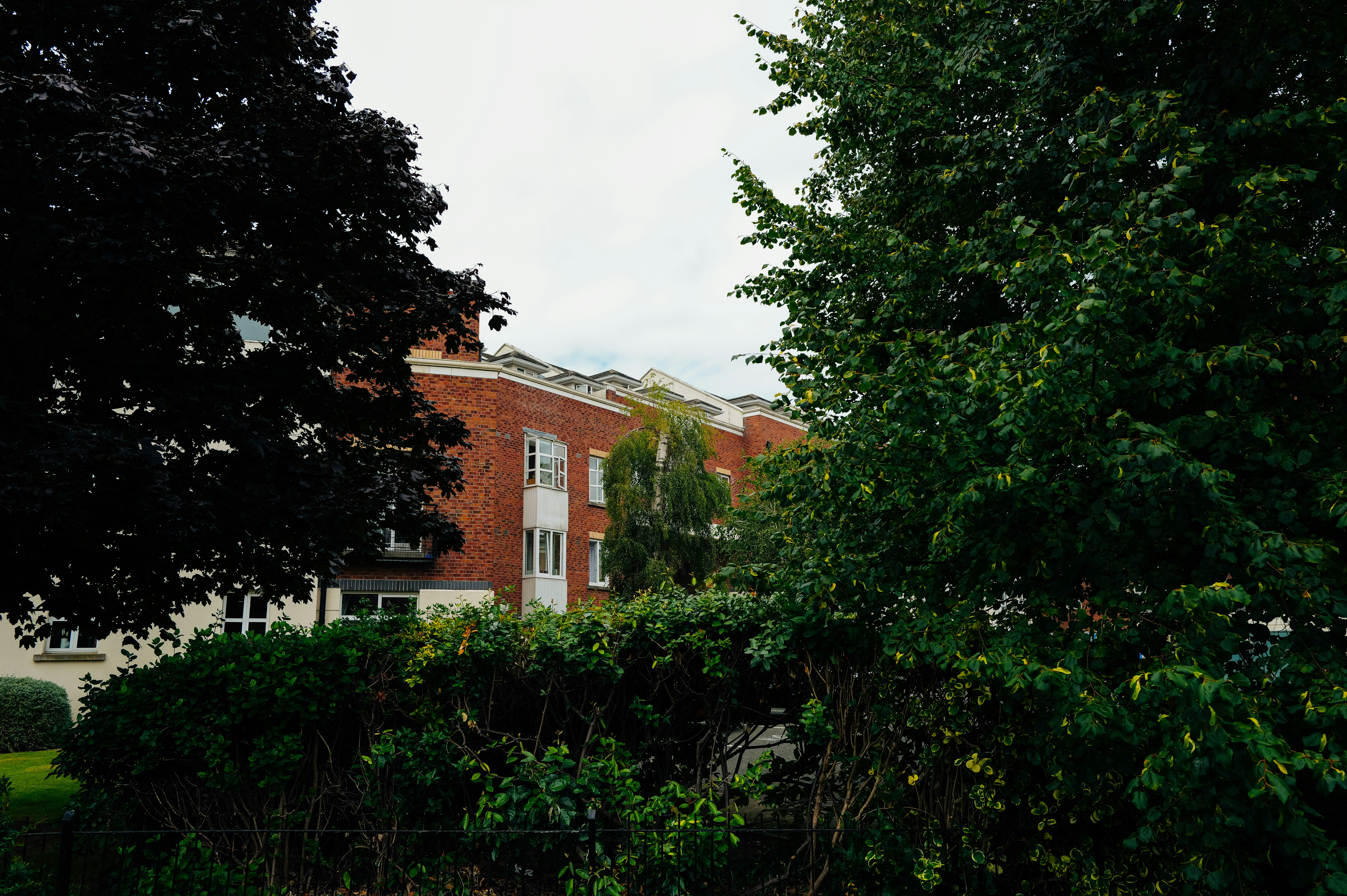 Photo by adrienolichon