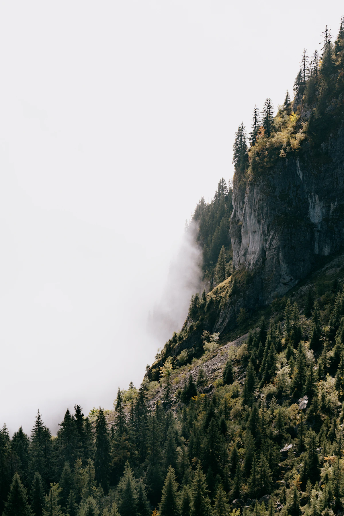 青城山