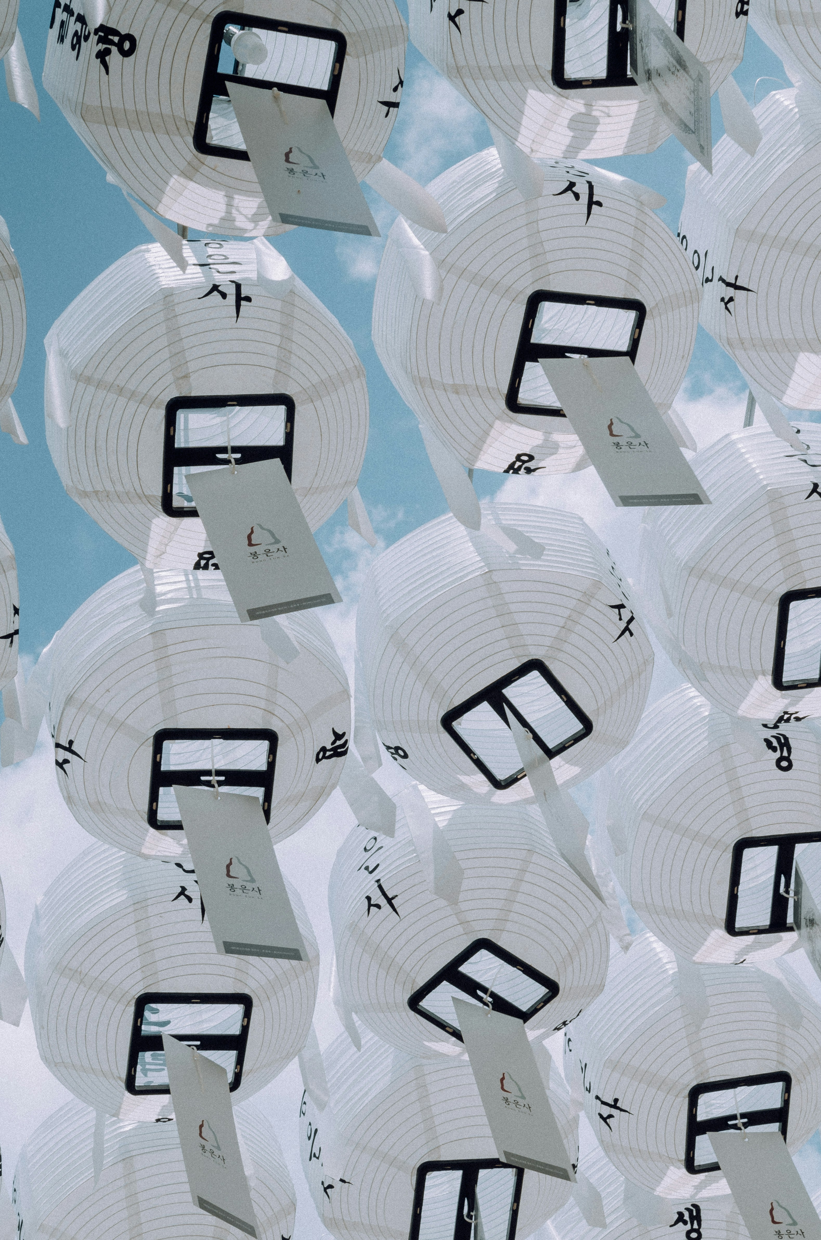 White paper lanterns with korean script hanging