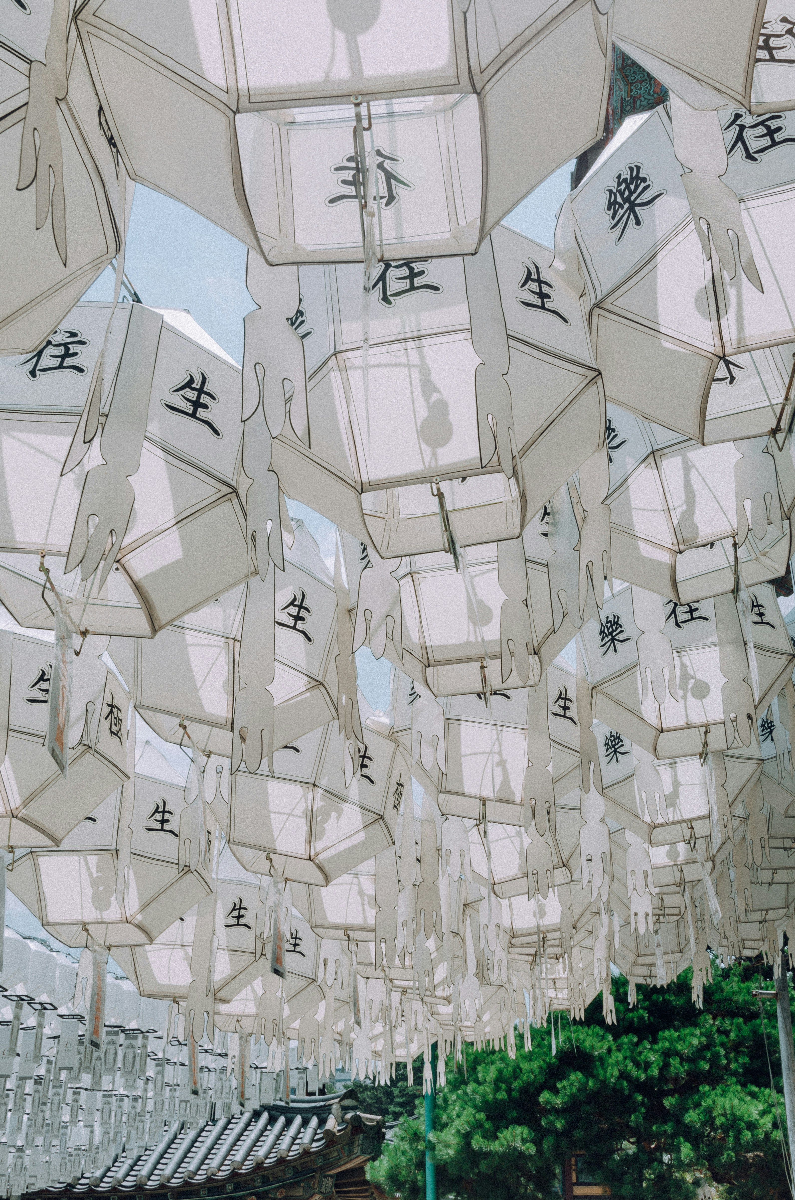 White paper lanterns with black calligraphy hanging overhead.