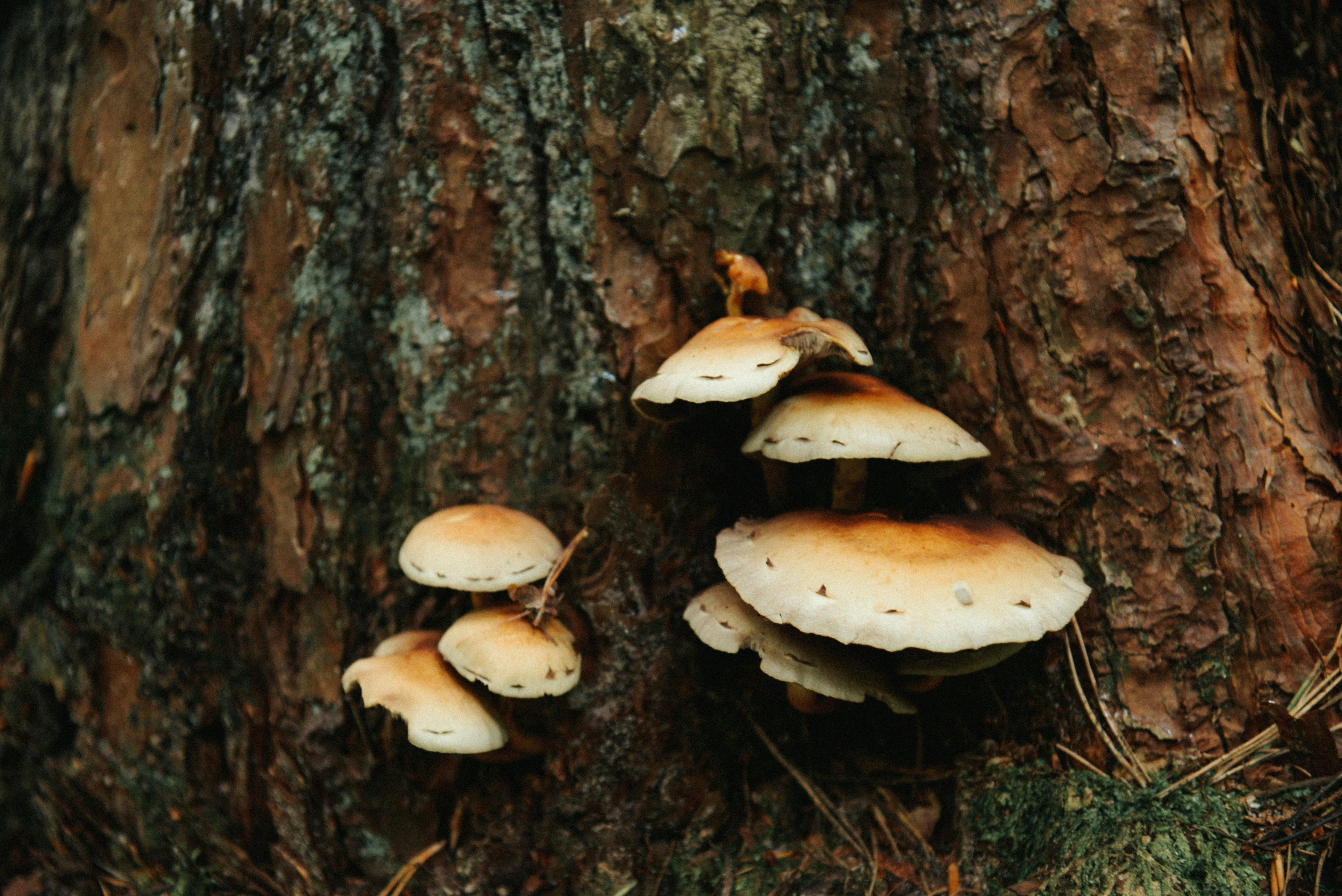 Photo by malwinanogaj