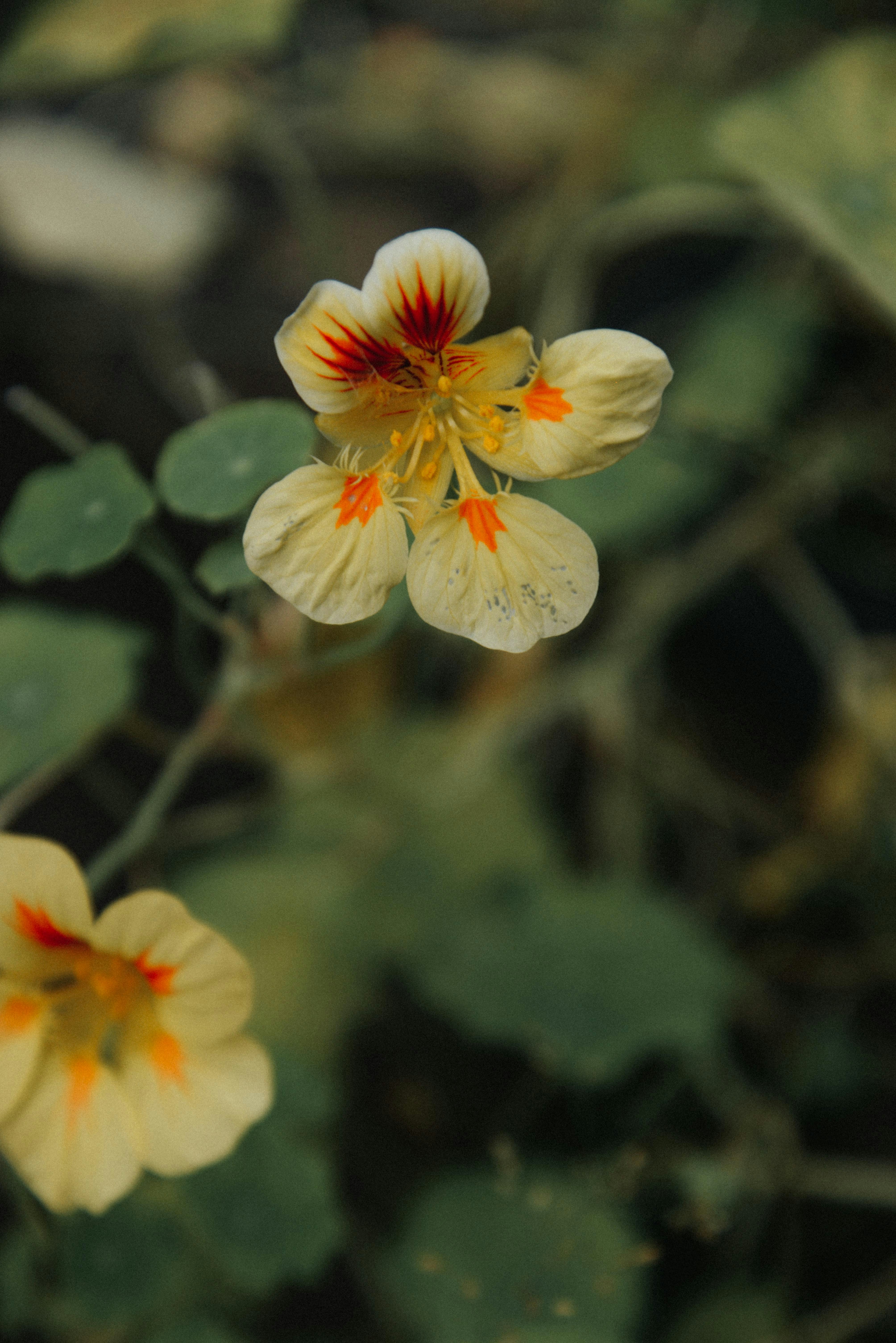 Photo by malwinanogaj