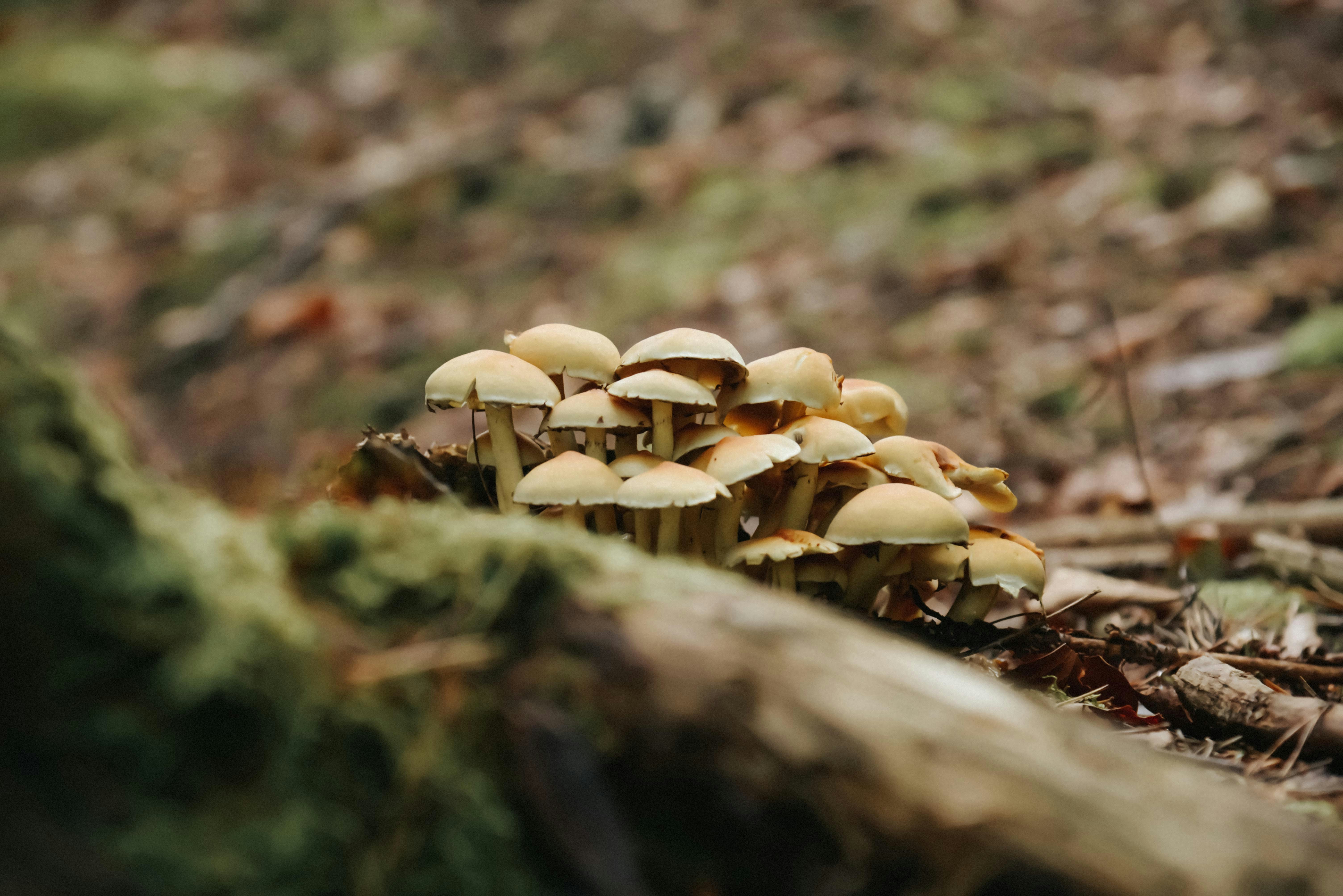 Photo by malwinanogaj