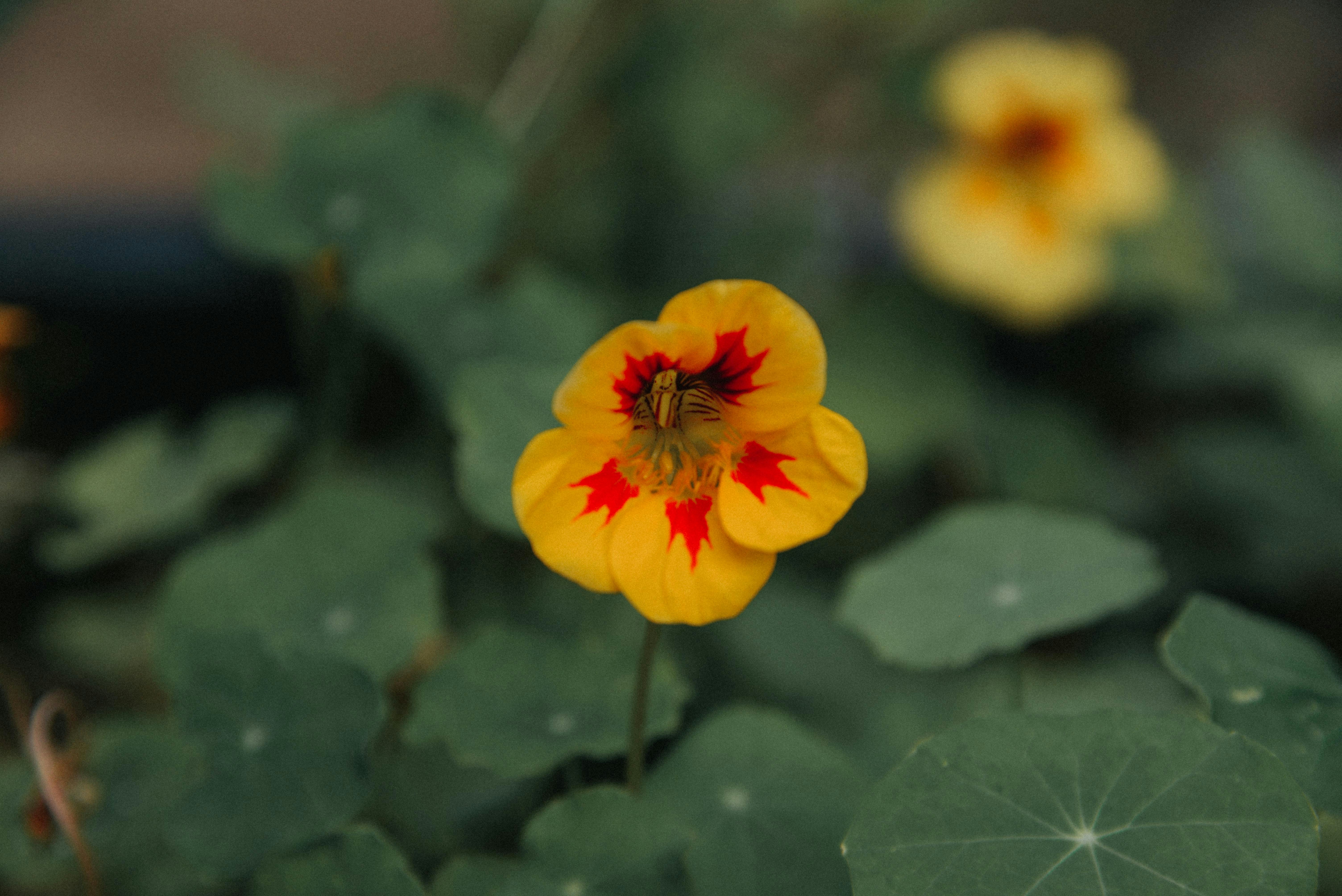 Photo by malwinanogaj