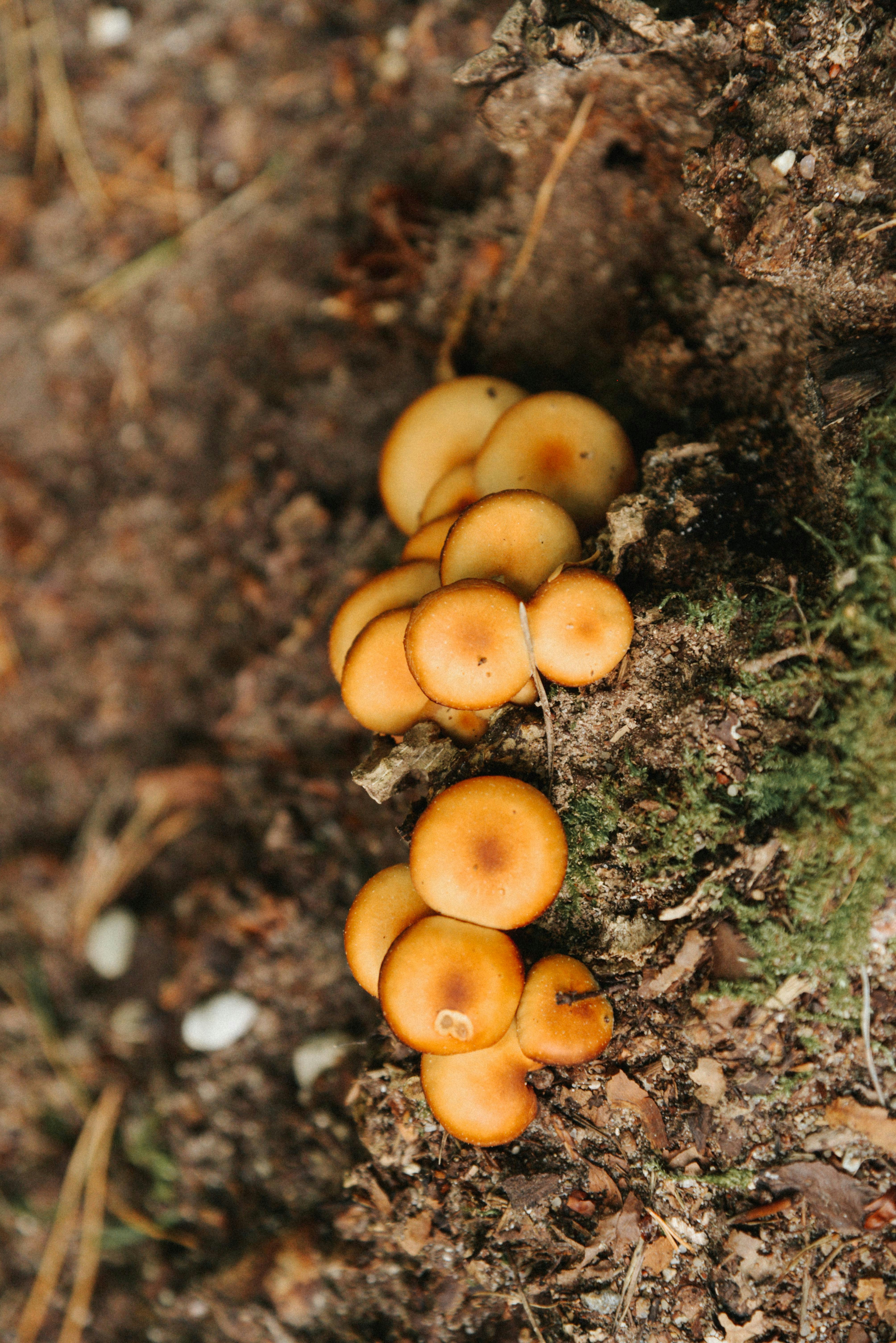 Photo by malwinanogaj